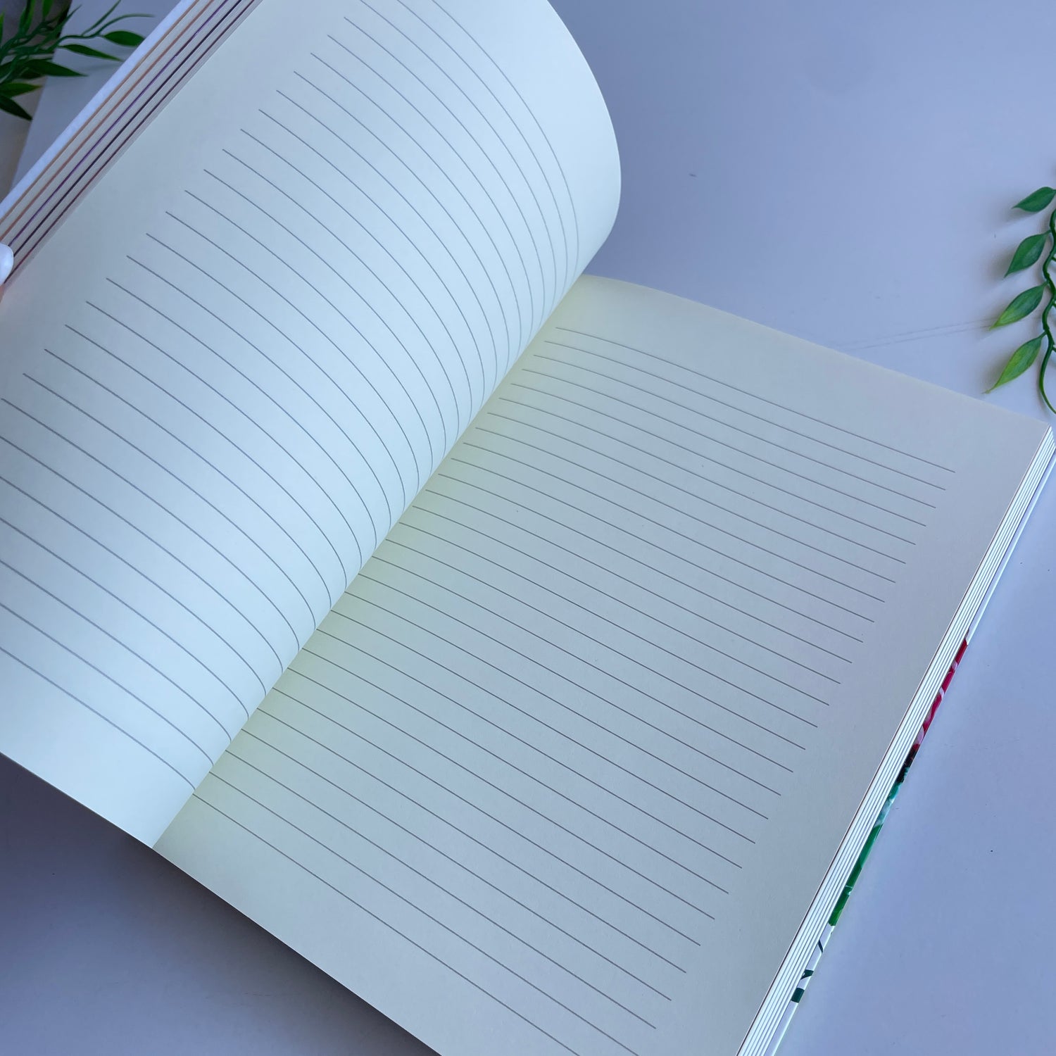 Colour Healing Journal