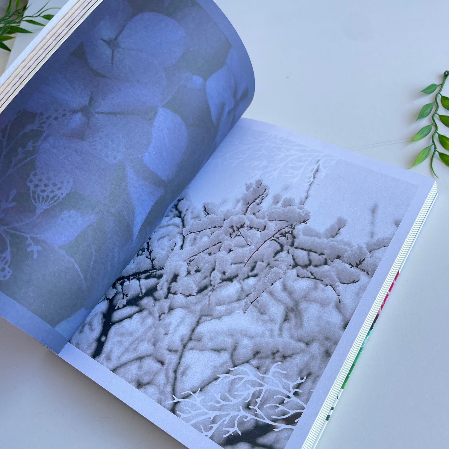 Colour Healing Journal