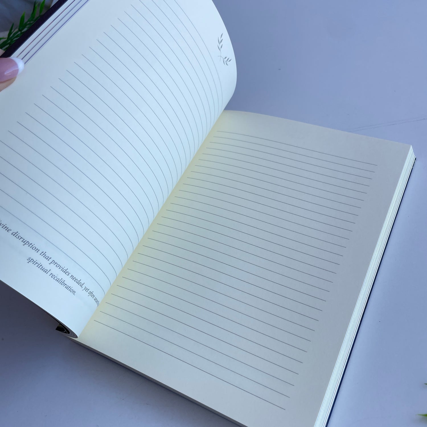 Kali Journal Alana Fairchild