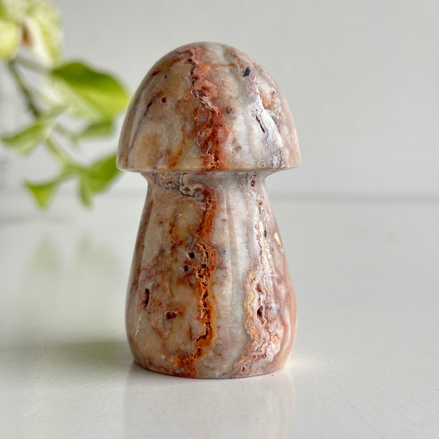 Pink Crazy Lace Agate Mushroom 7.6cm