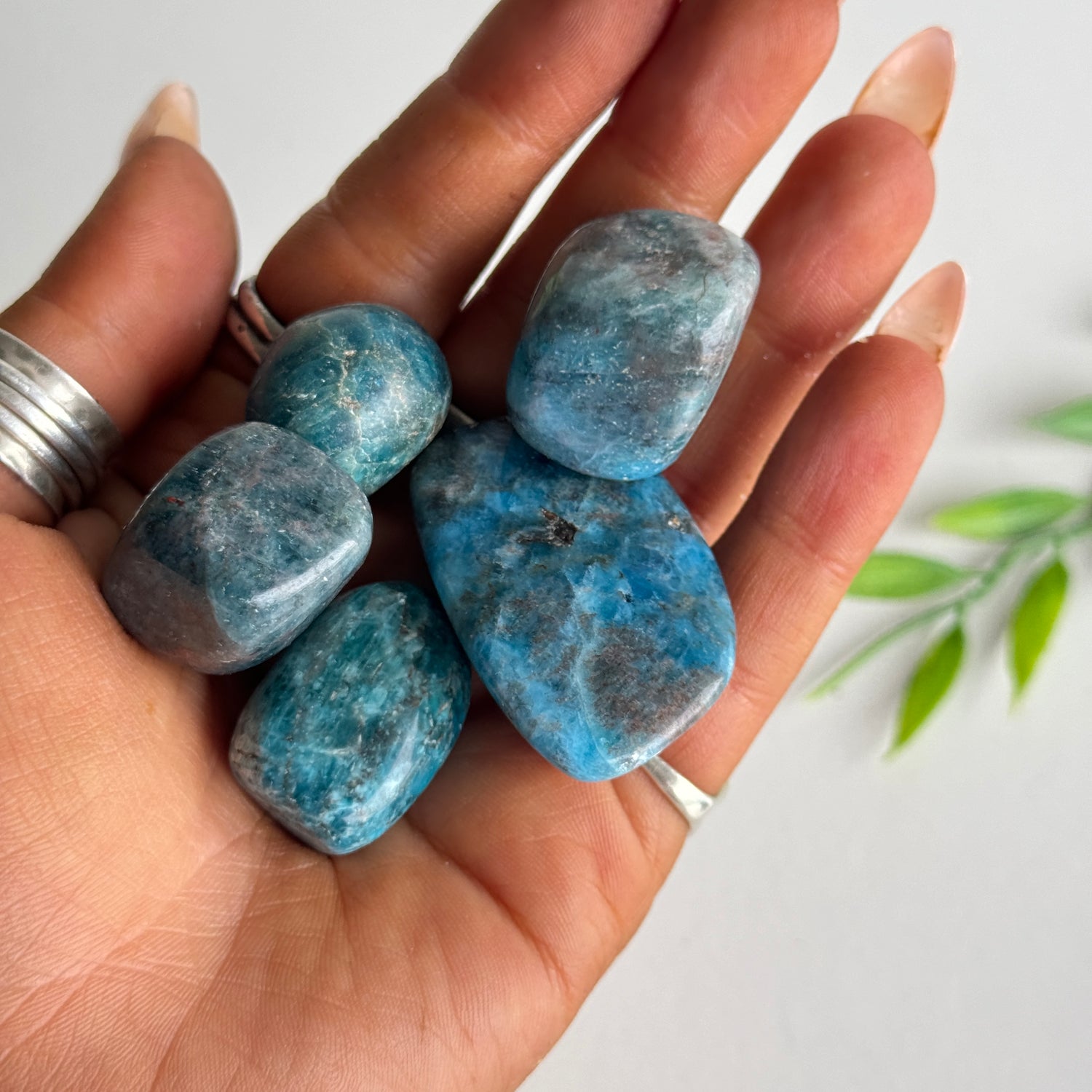 Blue Apatite Tumbled