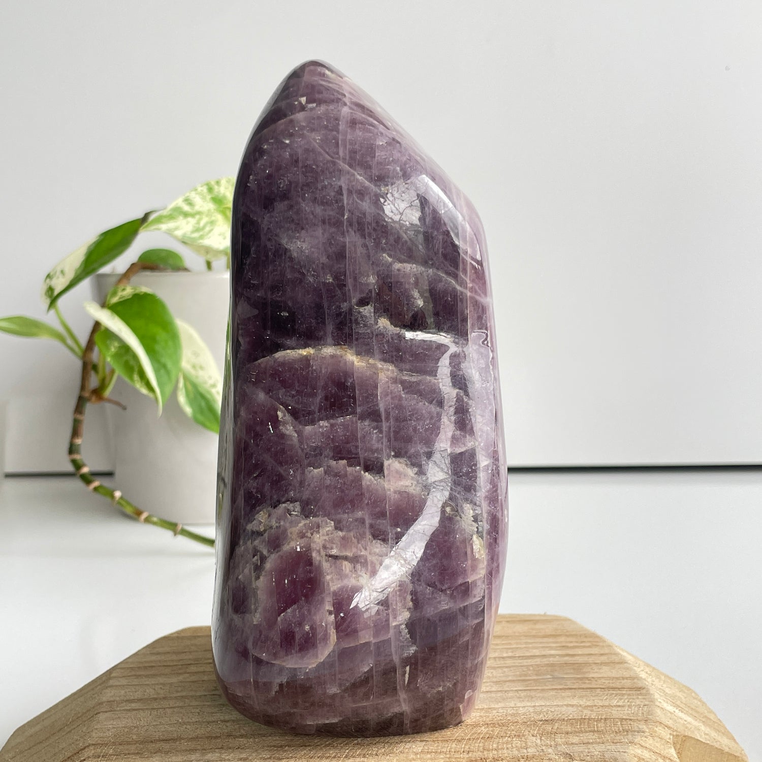 Anhydrite Freeform 17.3cm