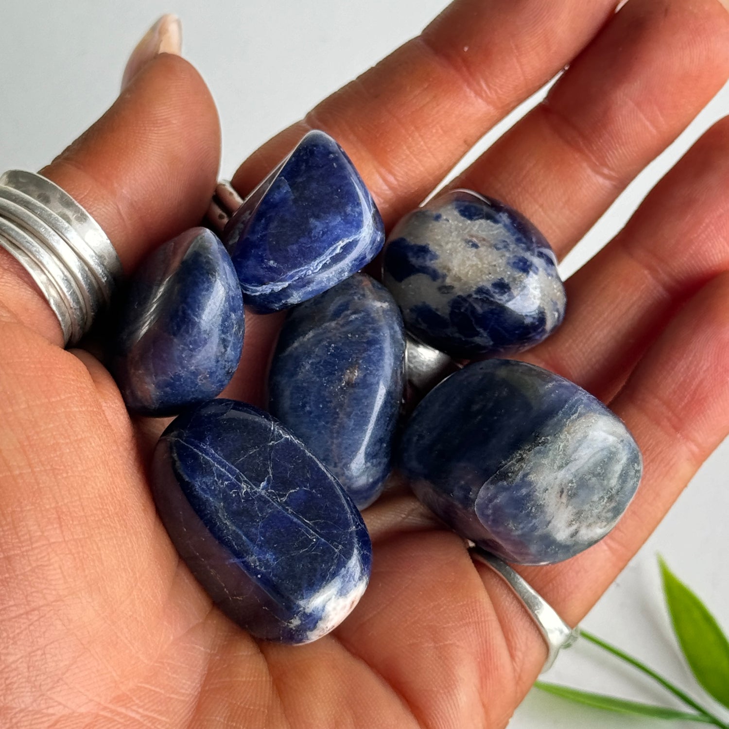 Sodalite Tumbled