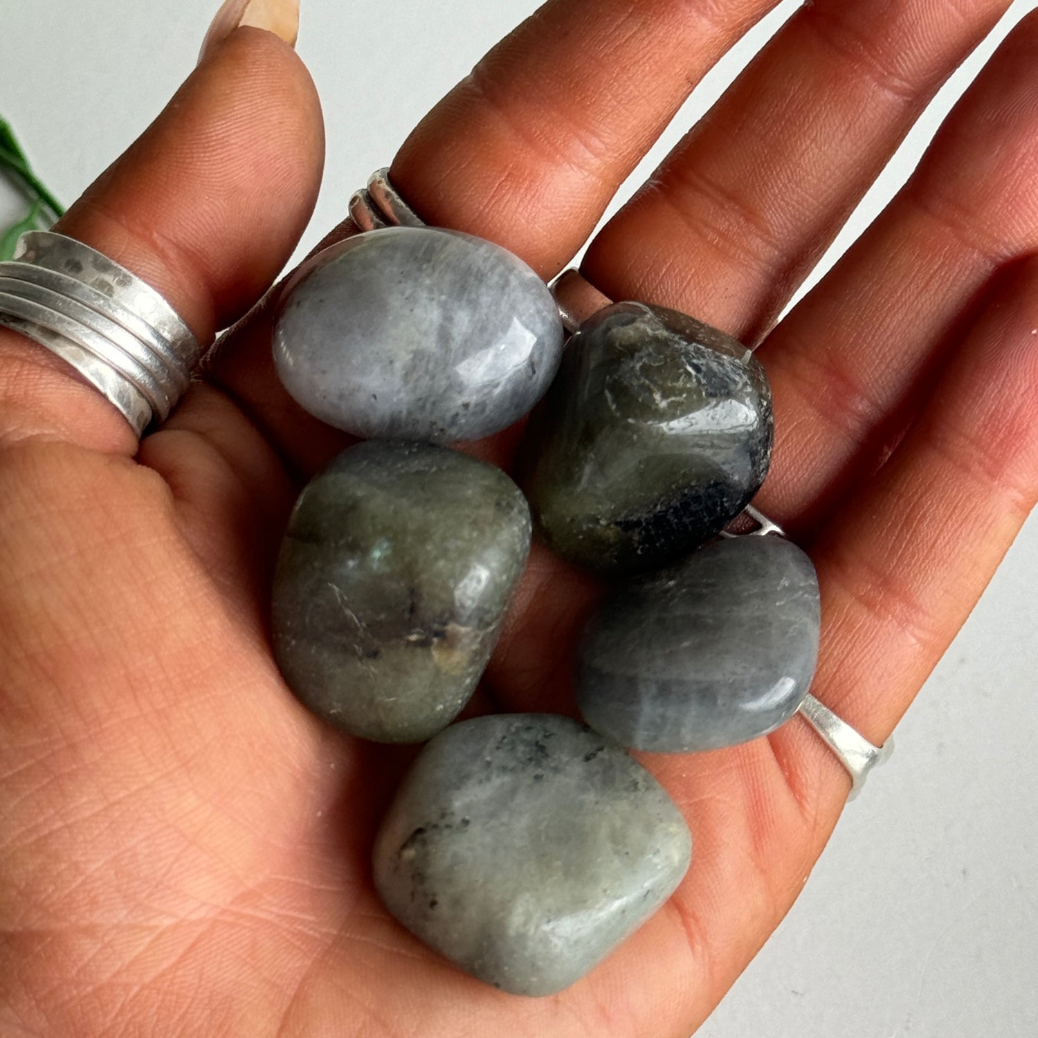 Labradorite Tumbled