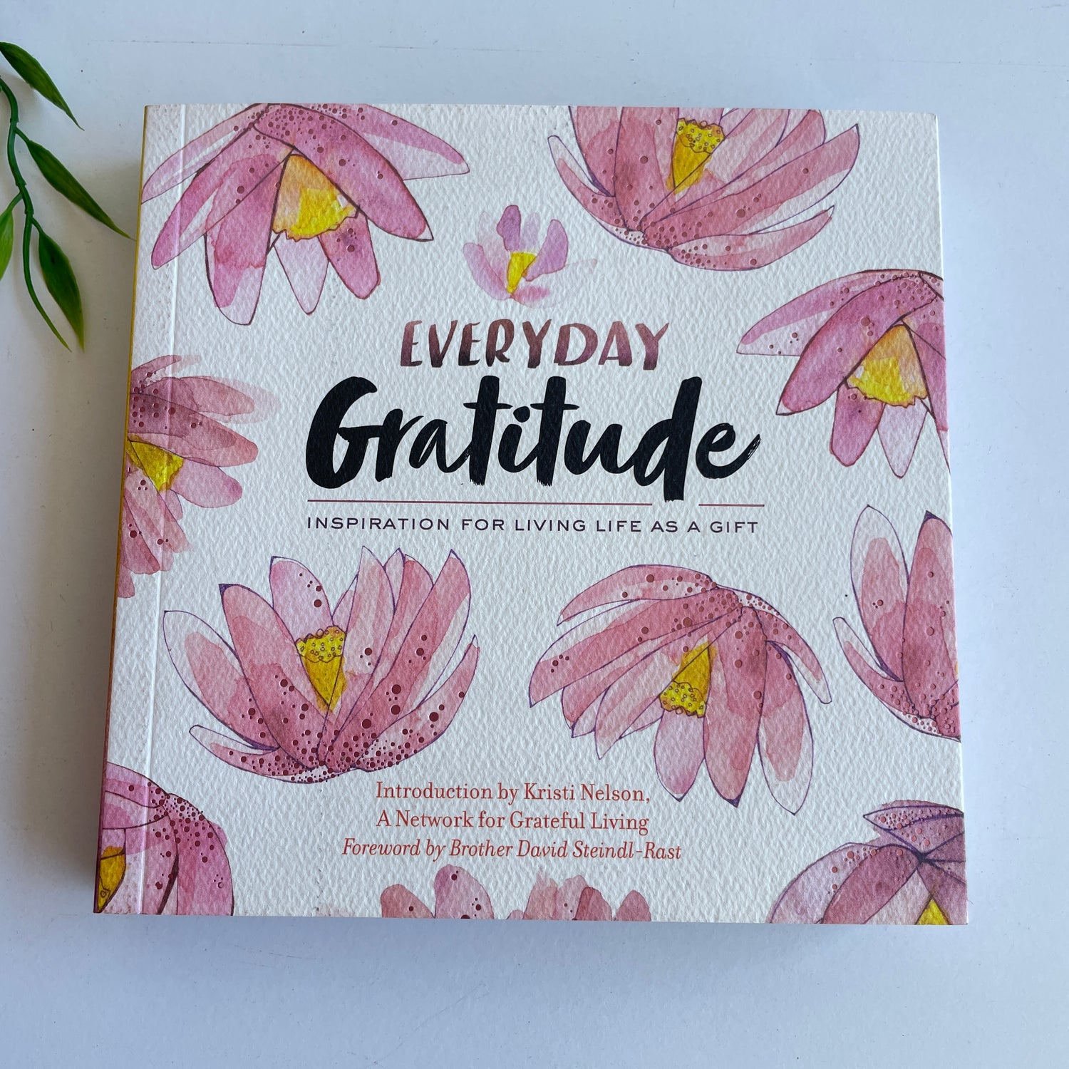 Everyday Gratitude Inspiration For Living Life As A Gift