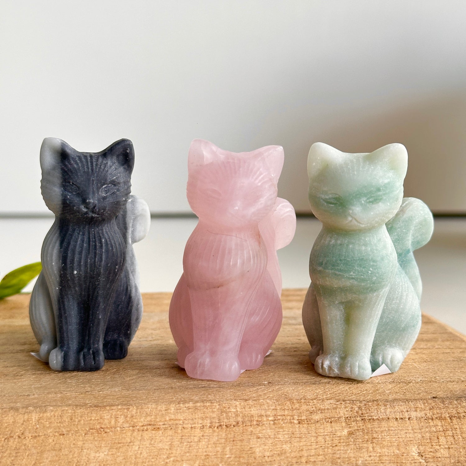 Crystal Pretty Cat
