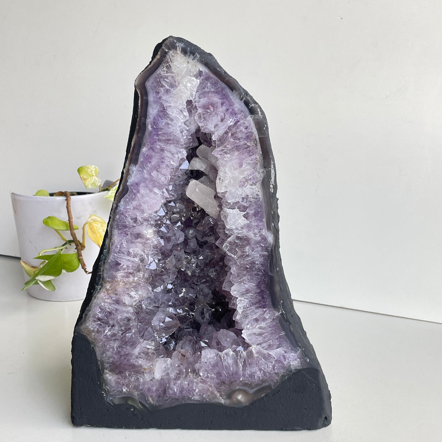Amethyst Geode 8.350kg