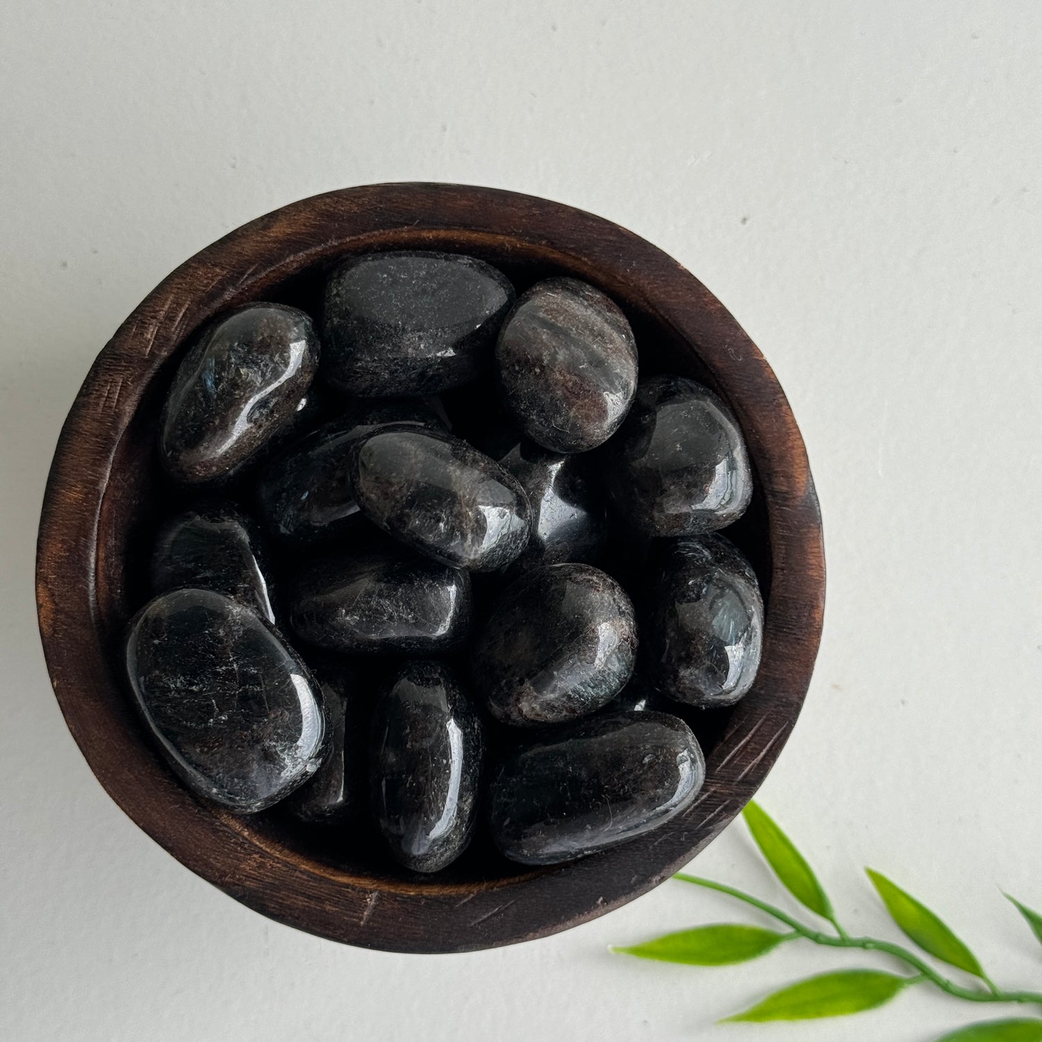 Astrophylite Tumbled