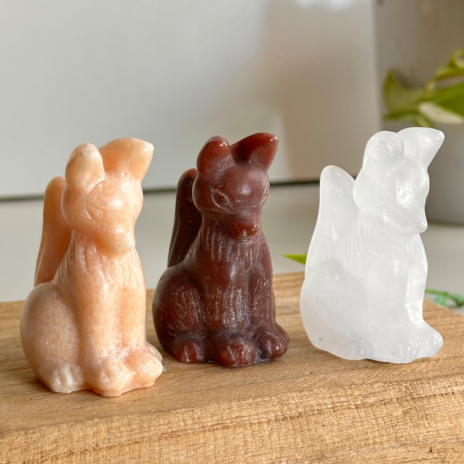 Crystal Fox