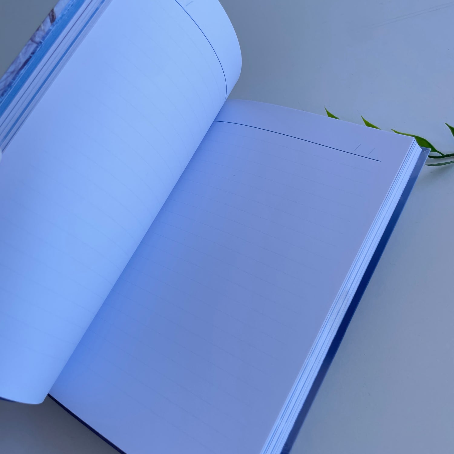 Dream Journal Rose Inserra