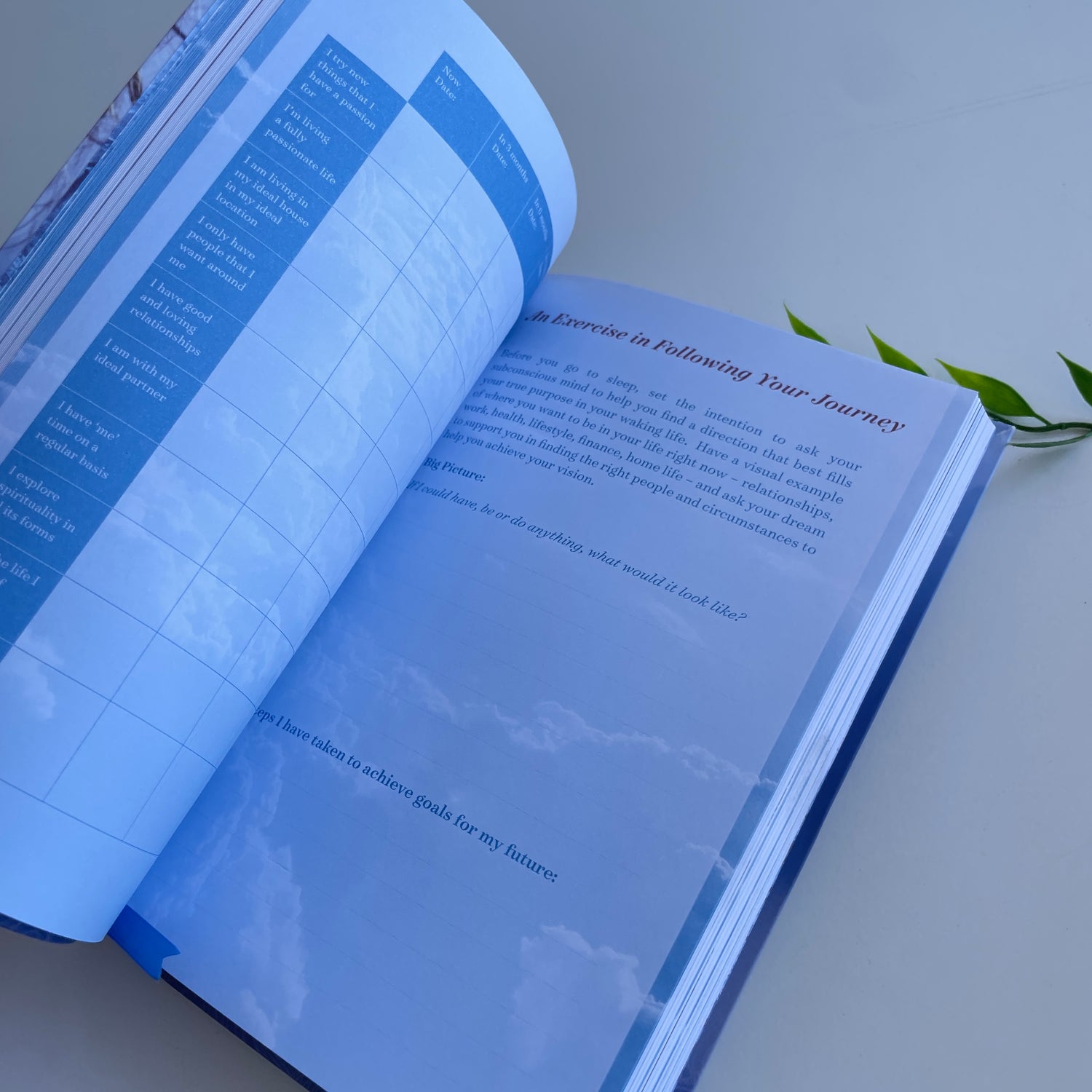 Dream Journal Rose Inserra