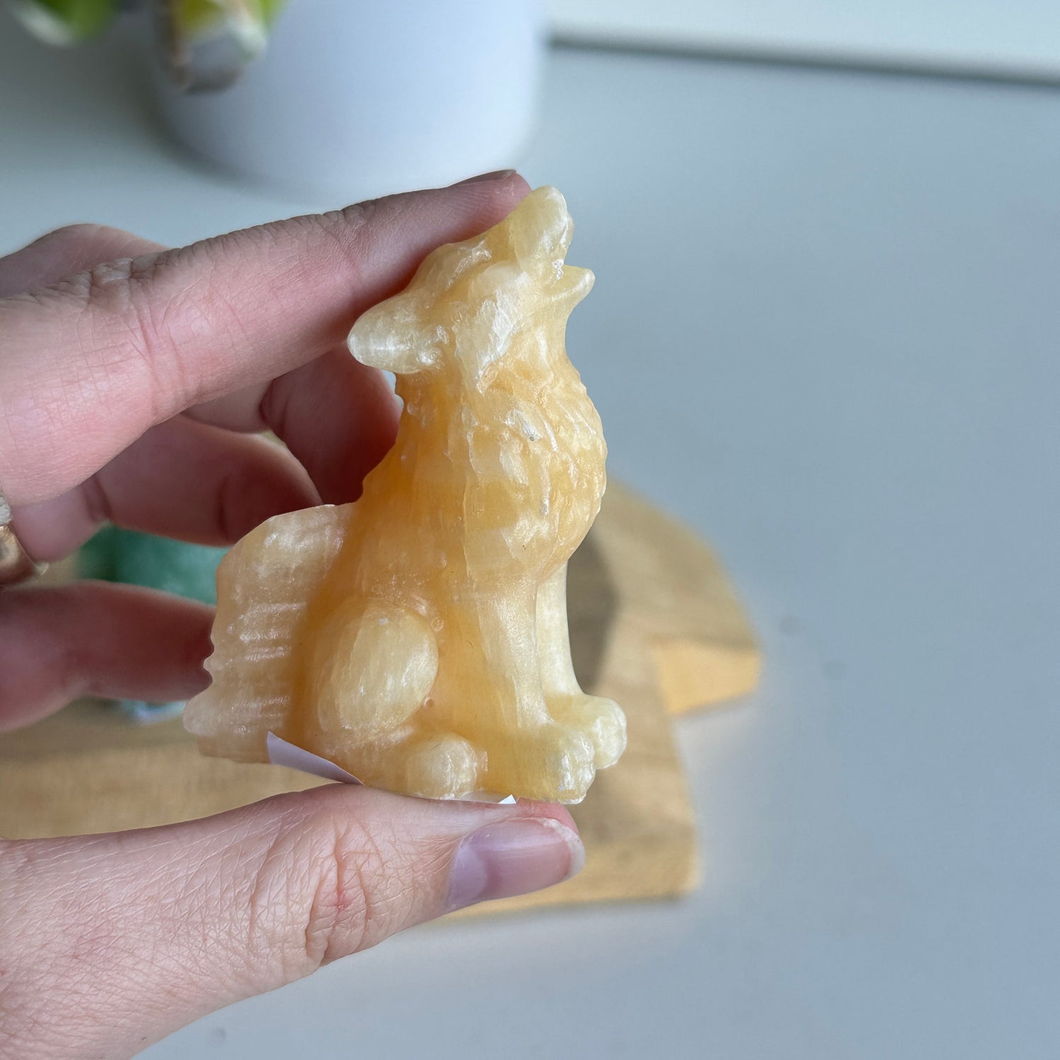 Crystal Wolf