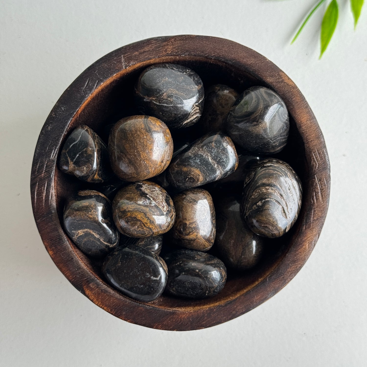 Stromatolite Tumbled