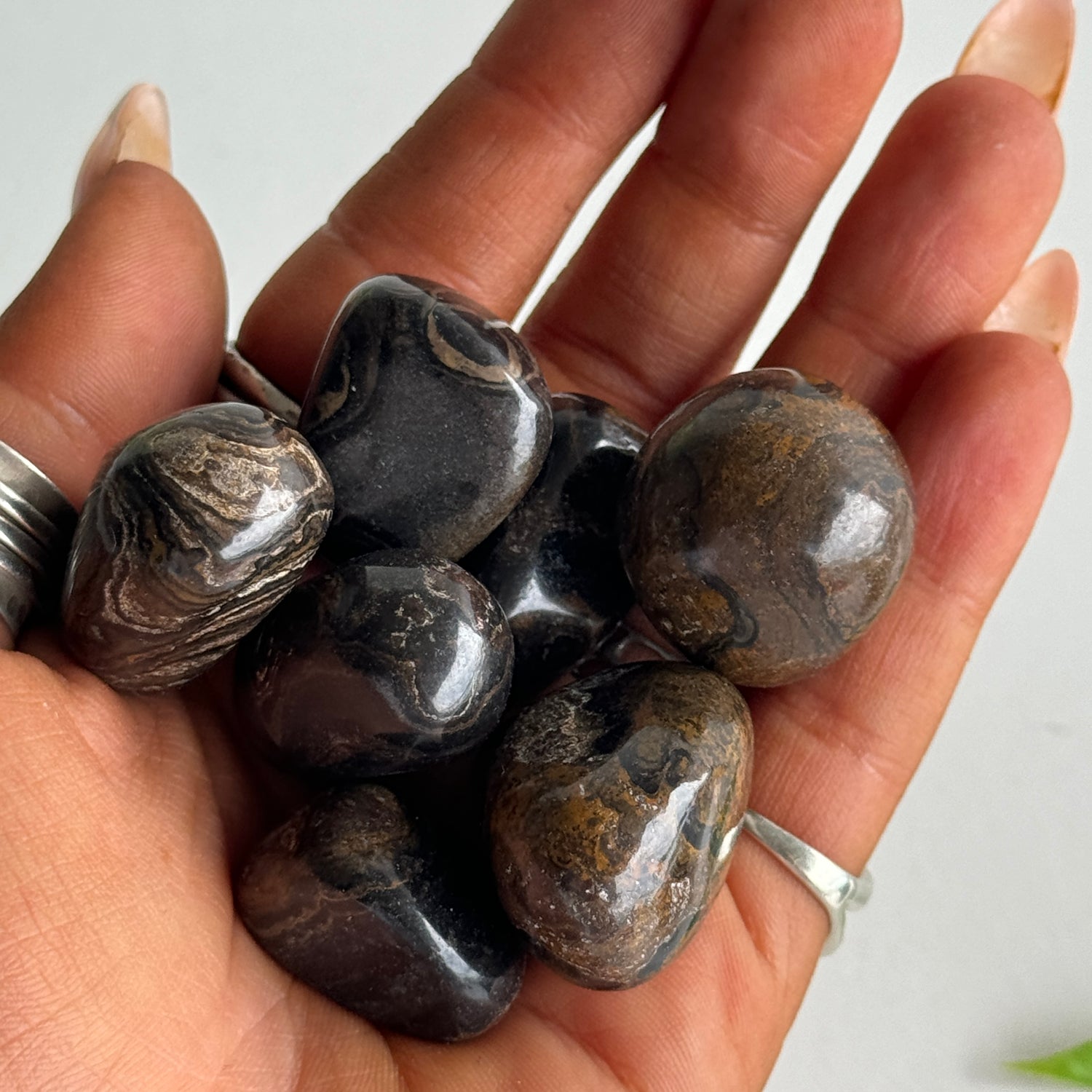 Stromatolite Tumbled