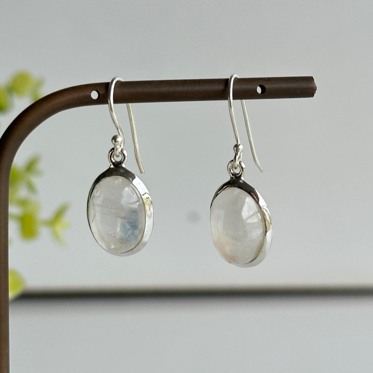 Moonstone Oval Earrings