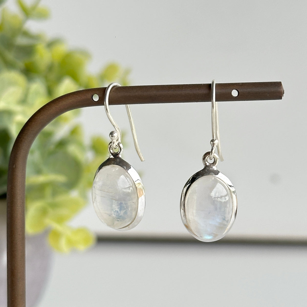 Moonstone Oval Earrings
