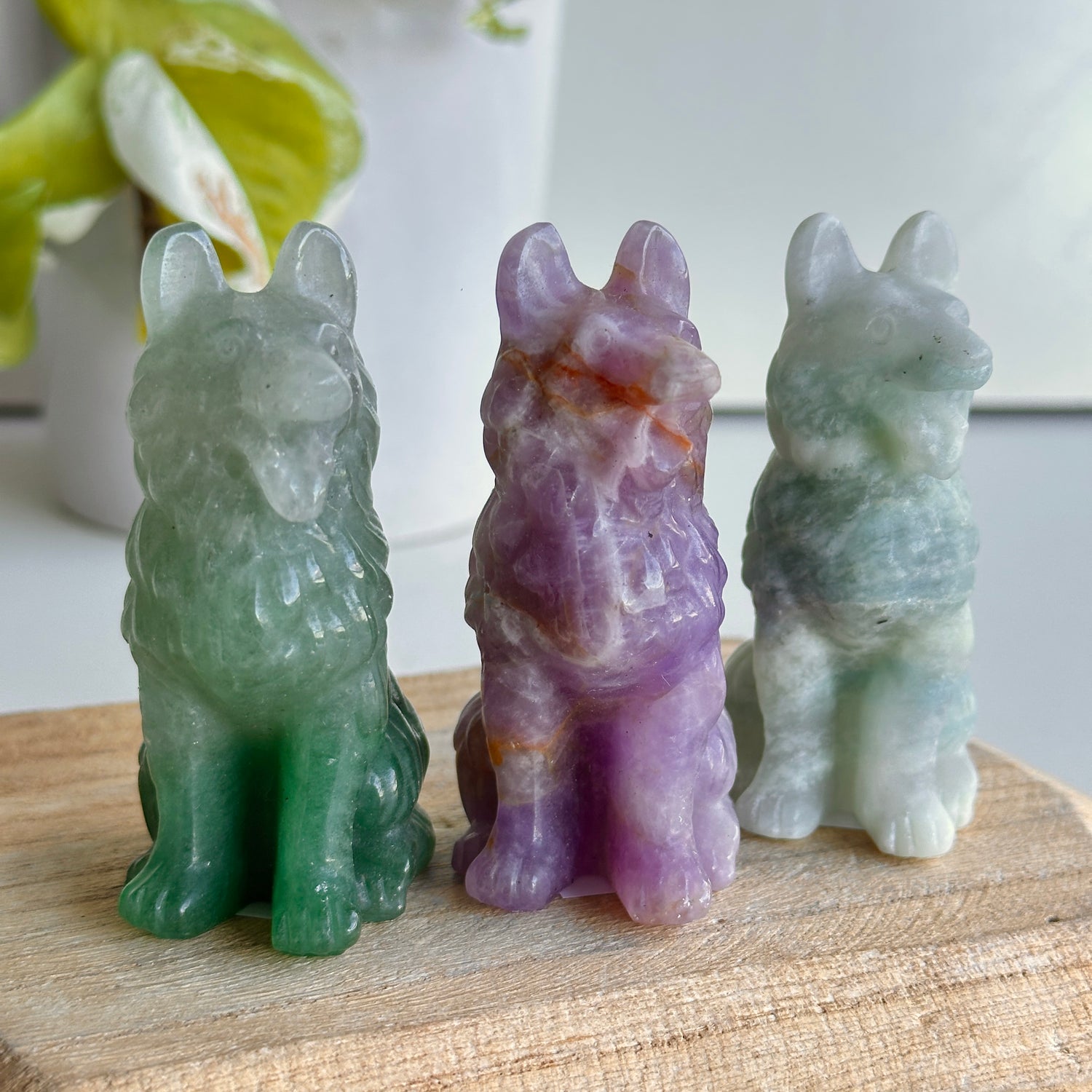 Crystal Dog Large