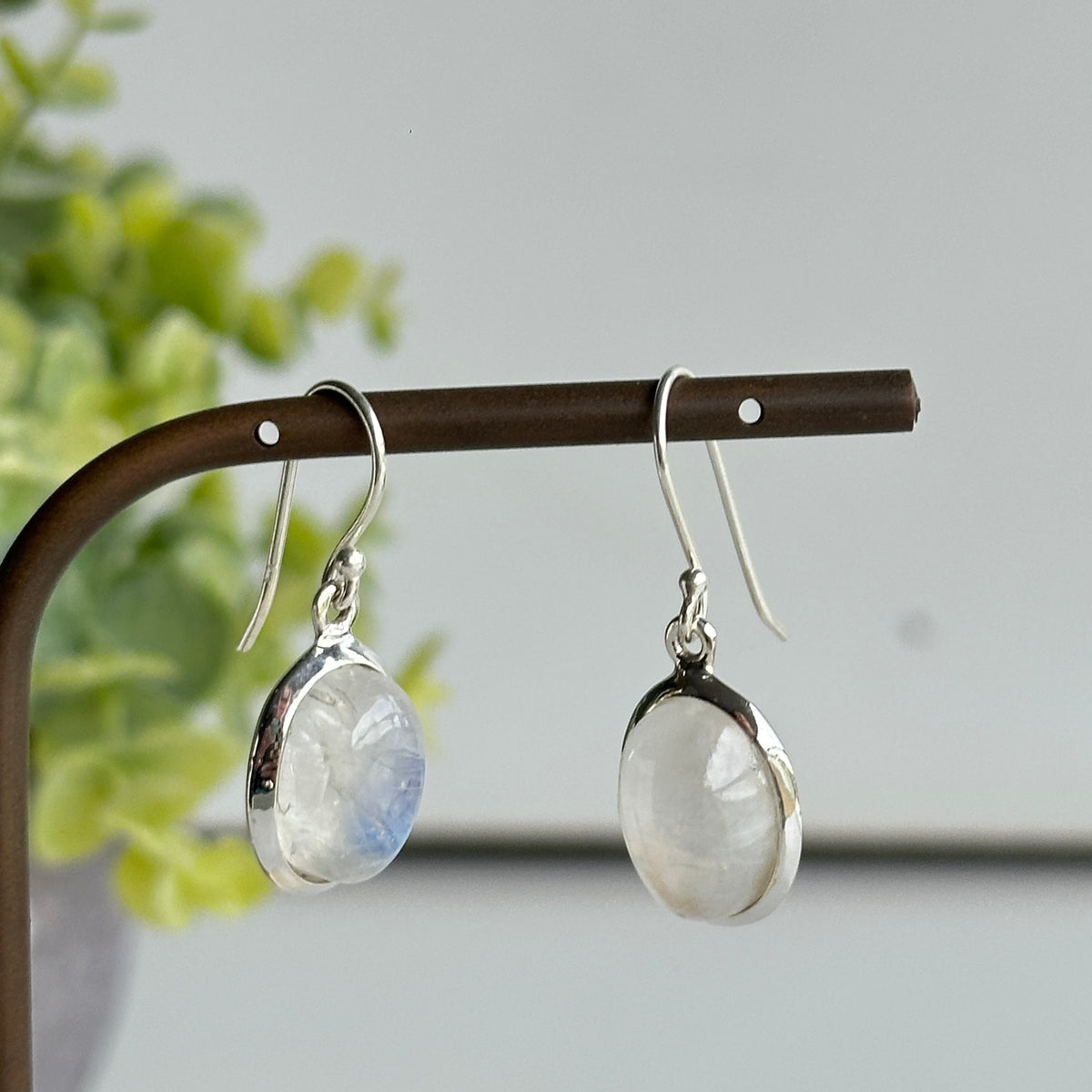 Moonstone Oval Earrings