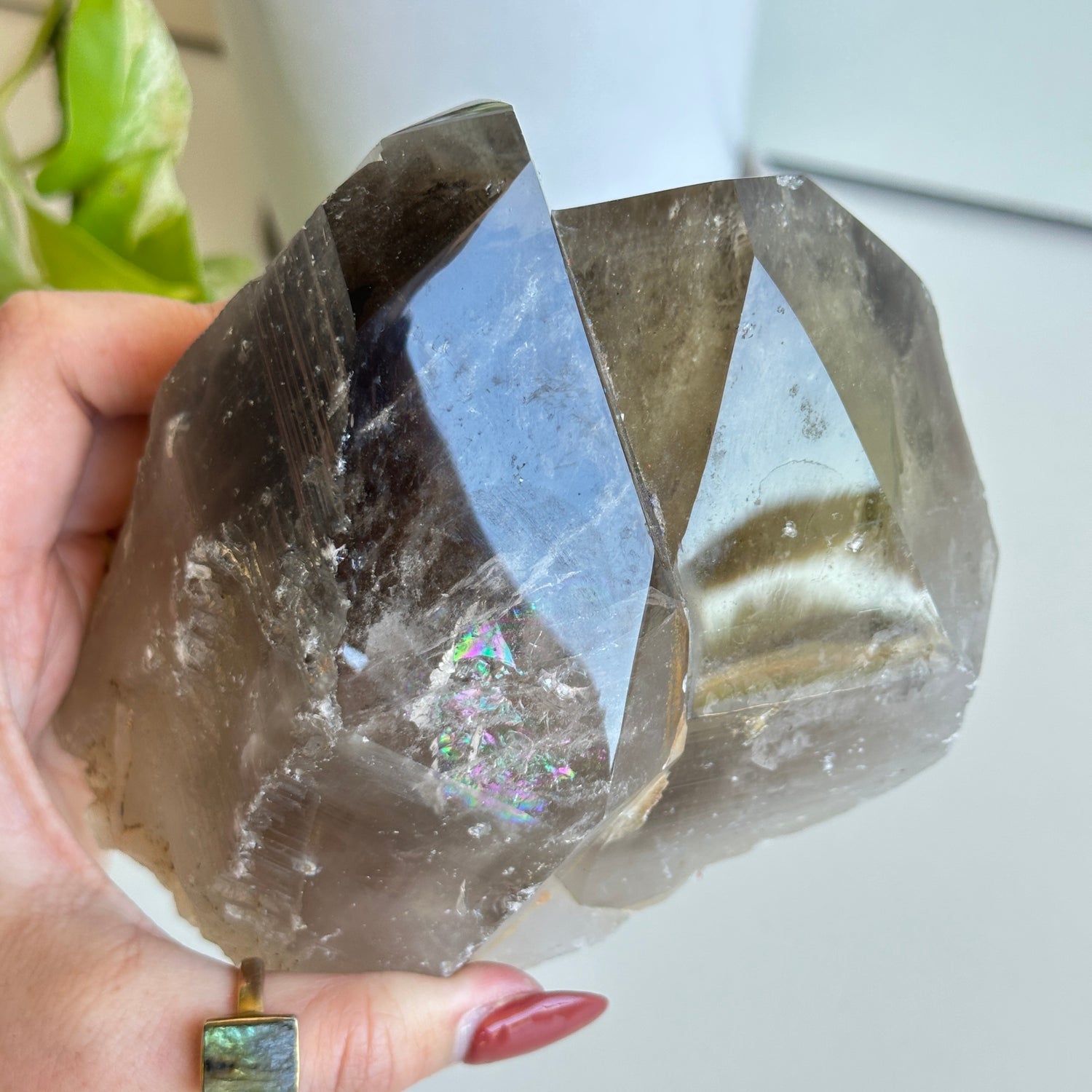 Smoky Citrine Pce 1.642kg