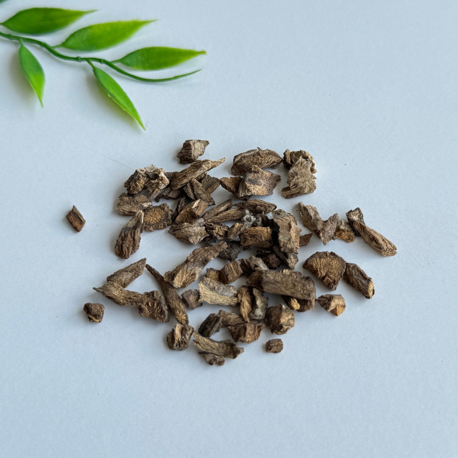 Burdock Root 10g