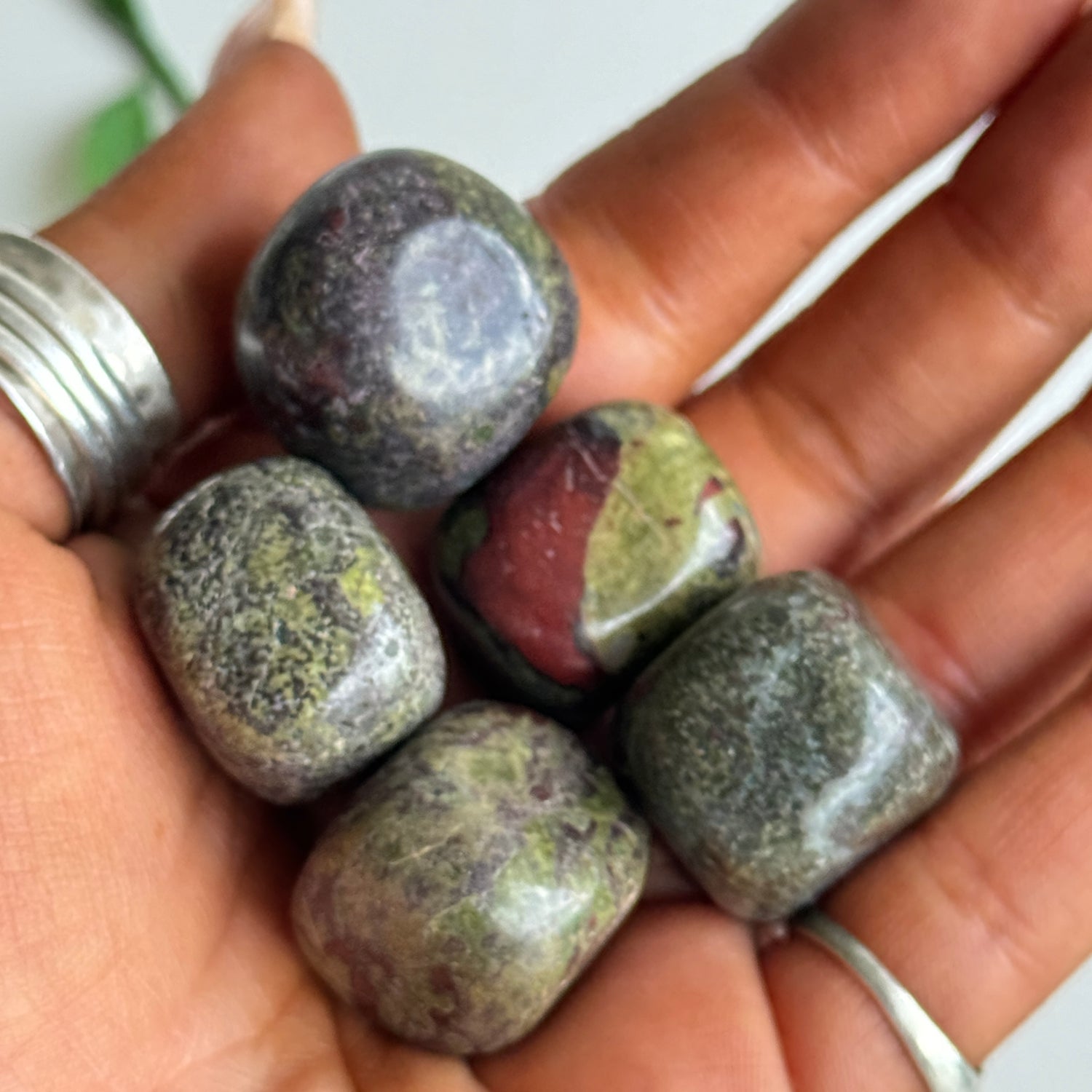 Dragonsblood Jasper Tumbled
