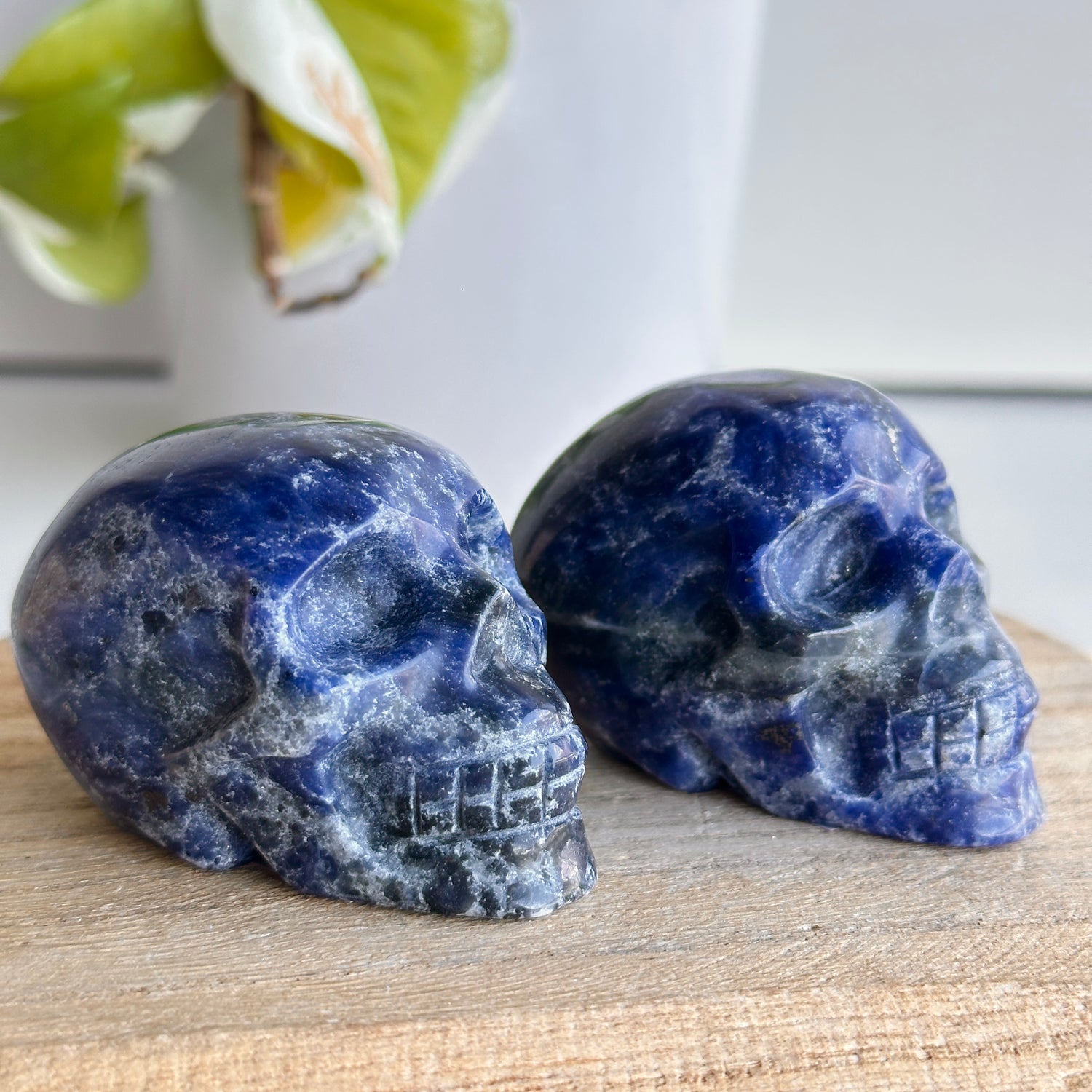 Sodalite Skull