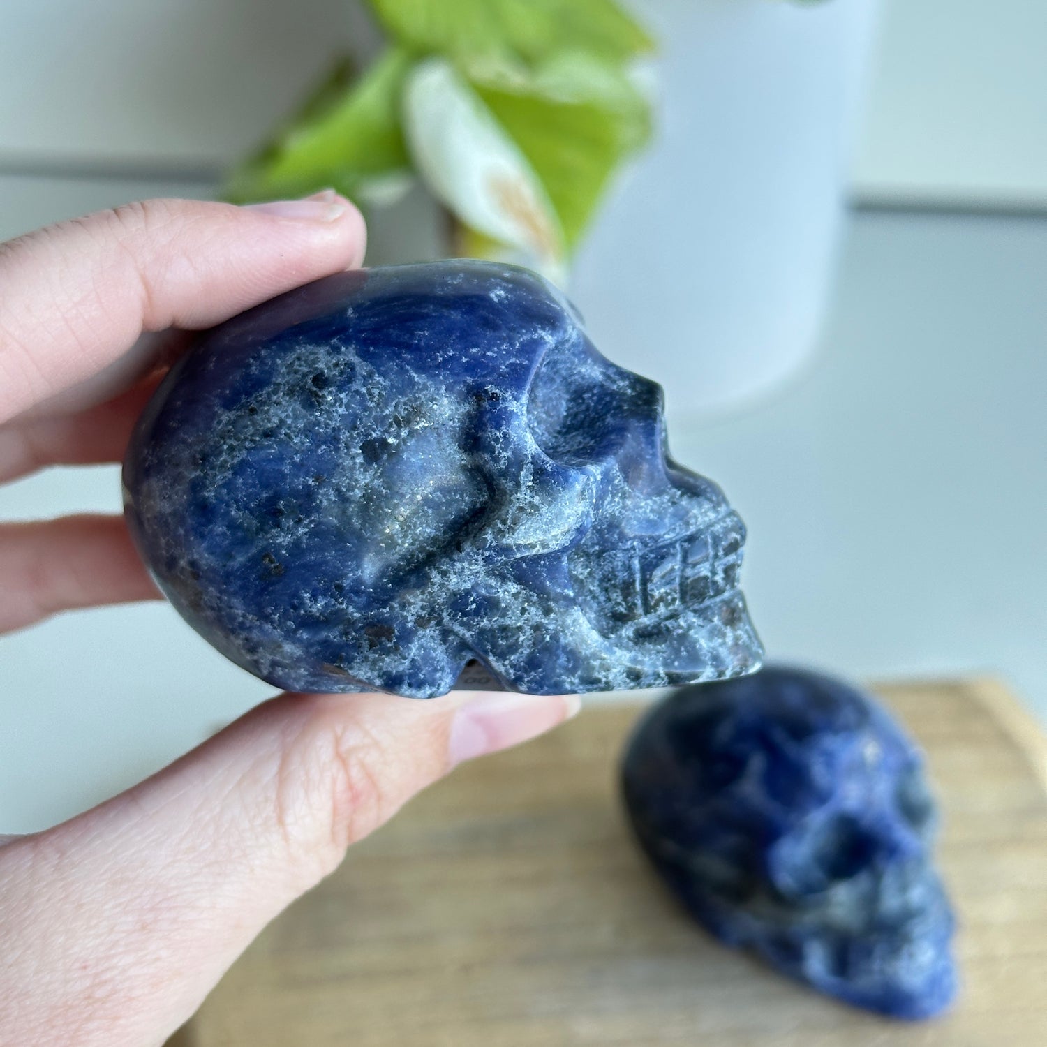 Sodalite Skull