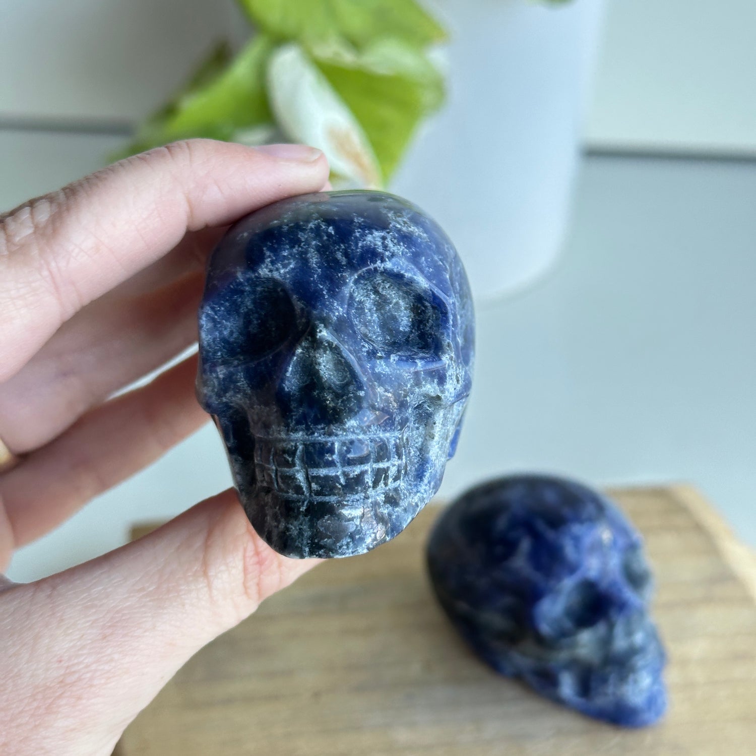 Sodalite Skull