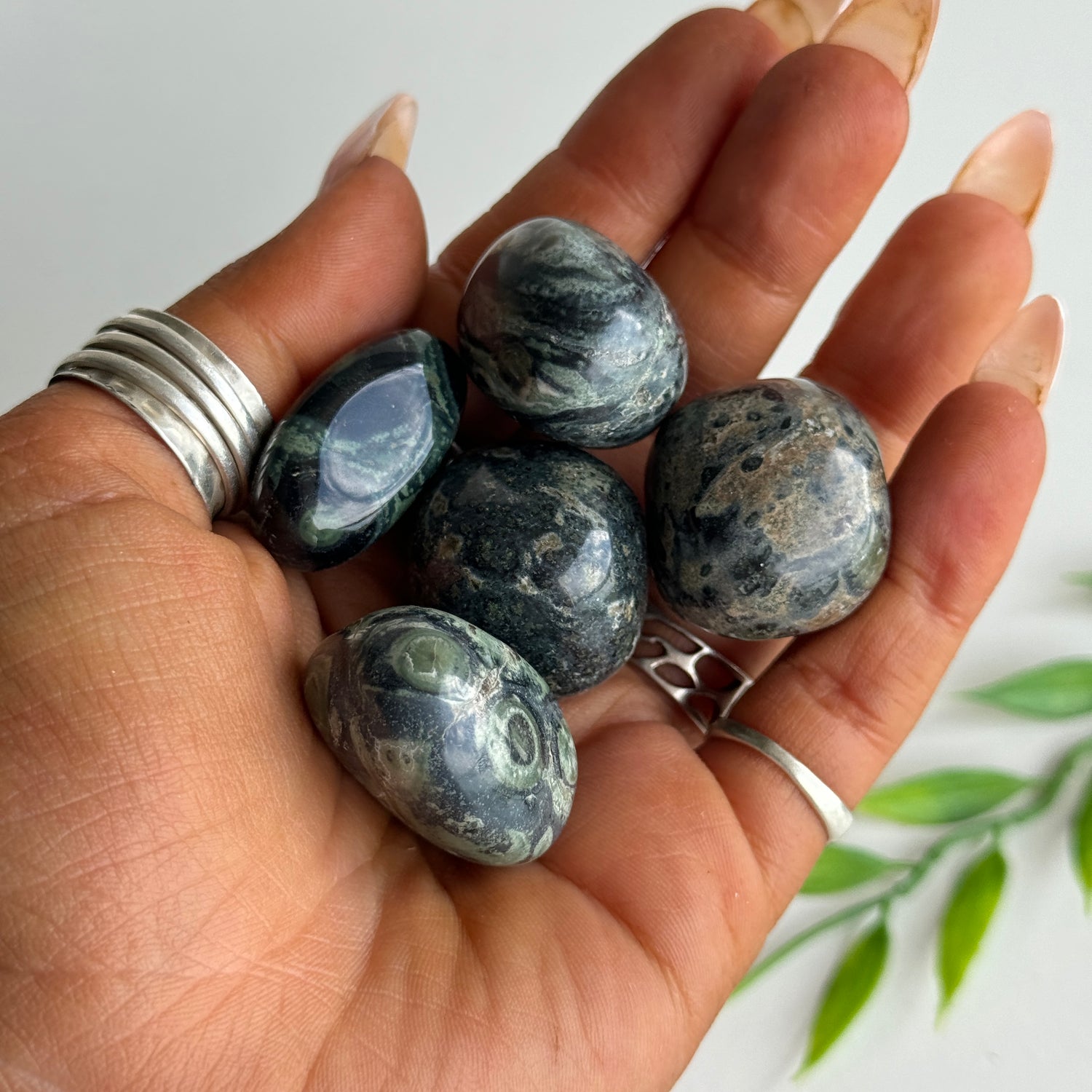 Kambaba Jasper Tumbled