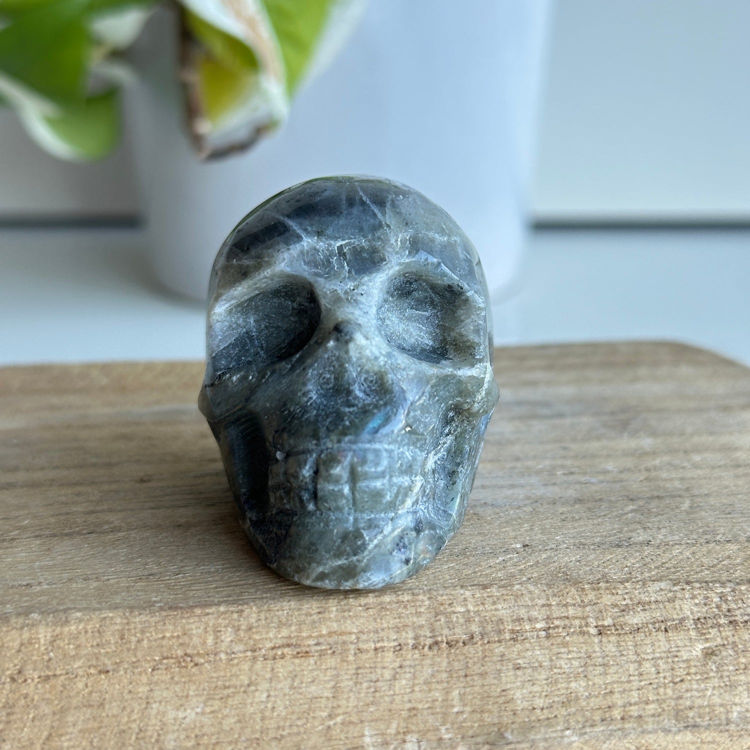 Labradorite Skull