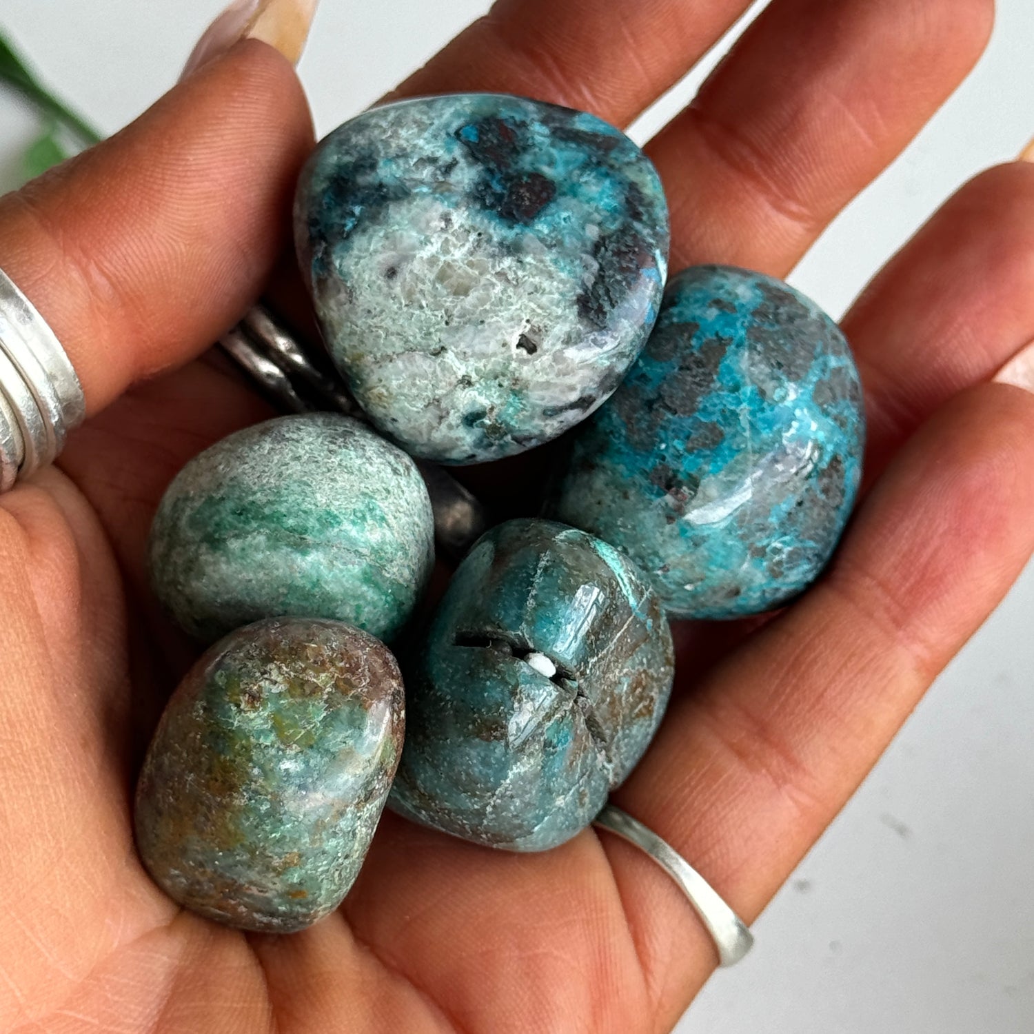 Chrysocolla Tumbled