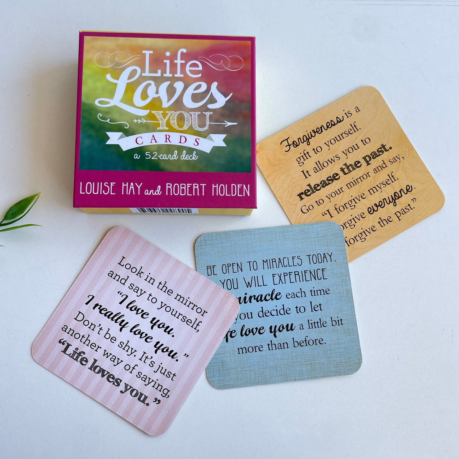 Life Loves You Cards Louise Hay
