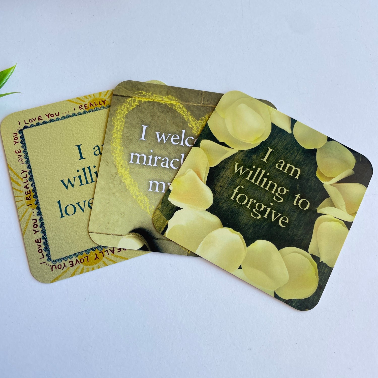 Life Loves You Cards Louise Hay