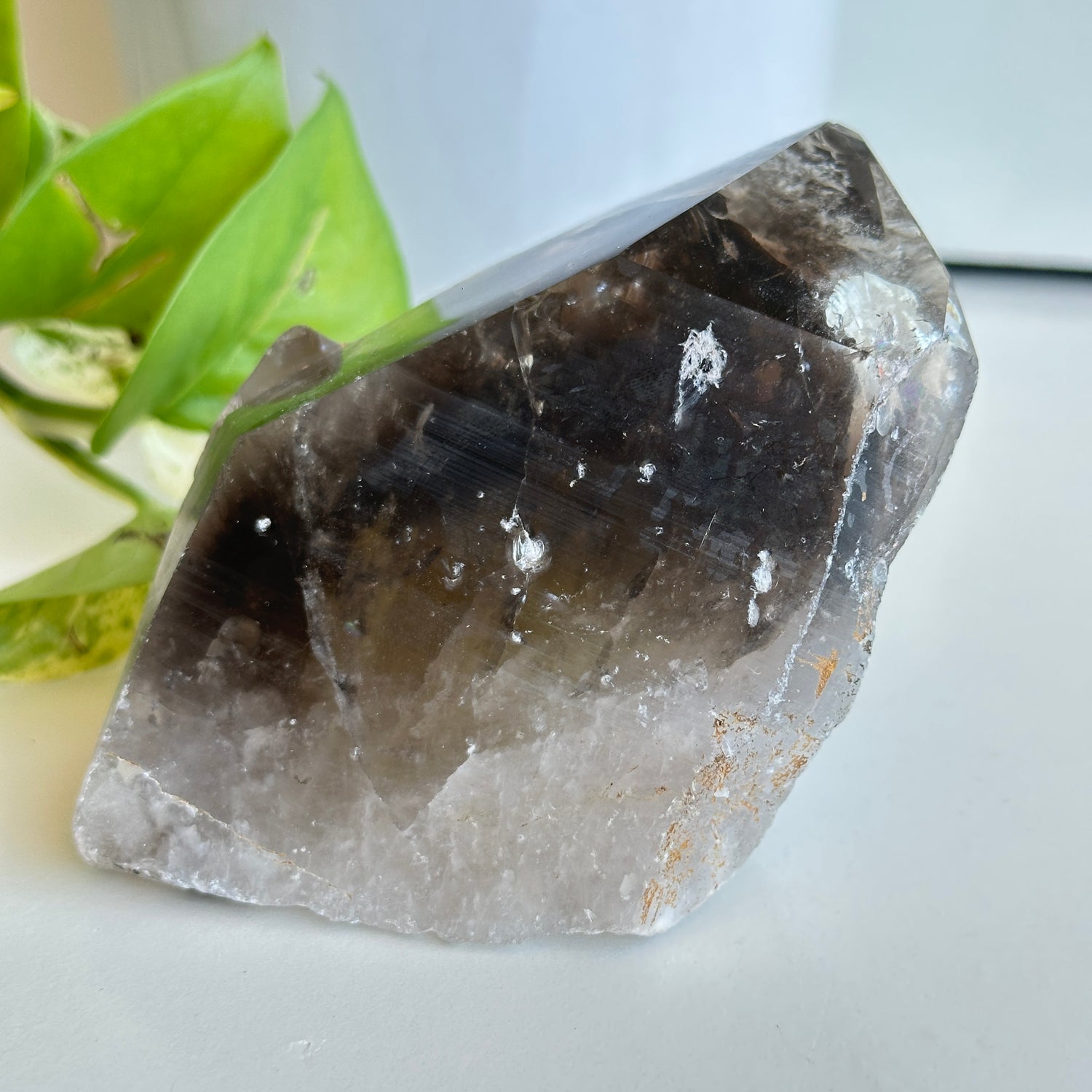 Smoky Citrine Pce 588g