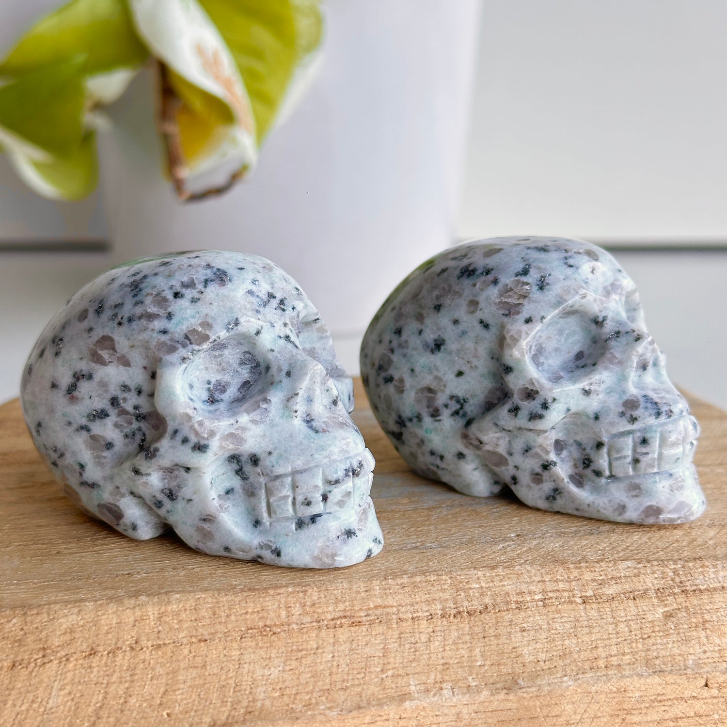 Kiwi Jasper Skull