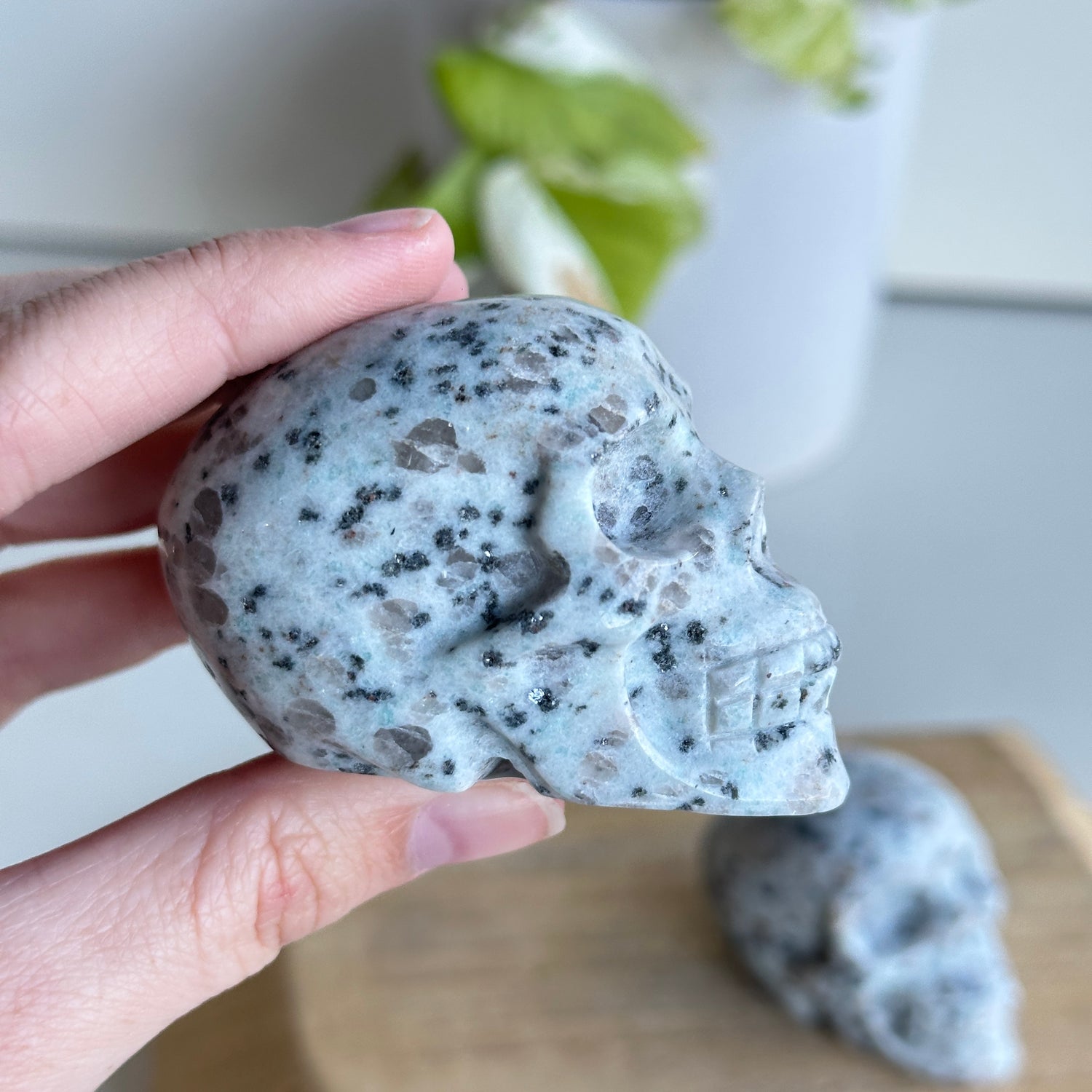 Kiwi Jasper Skull