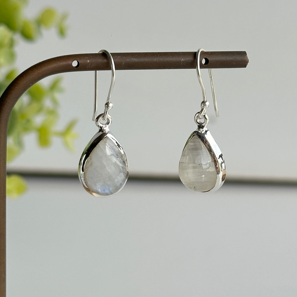 Moonstone Teardrop Earrings