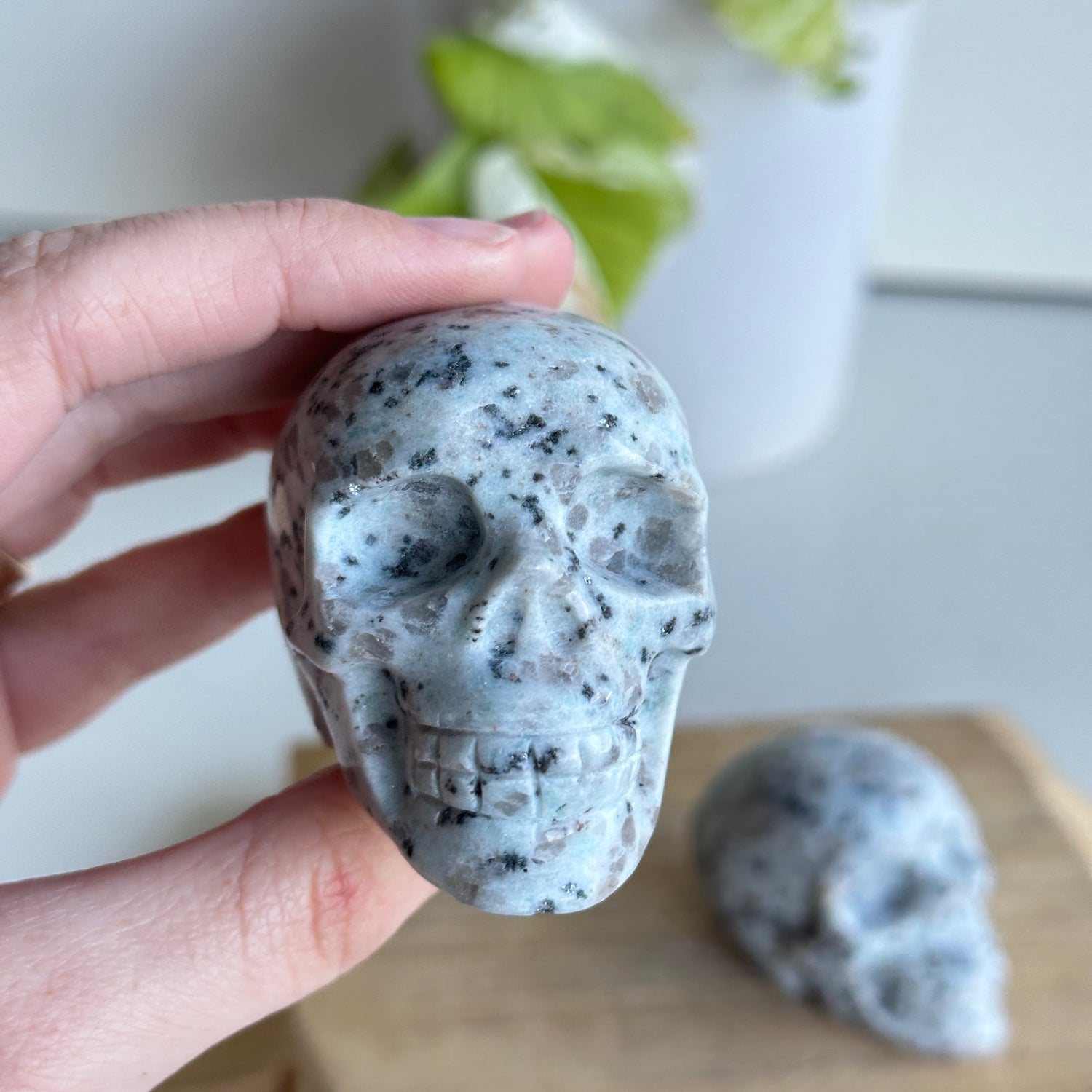 Kiwi Jasper Skull