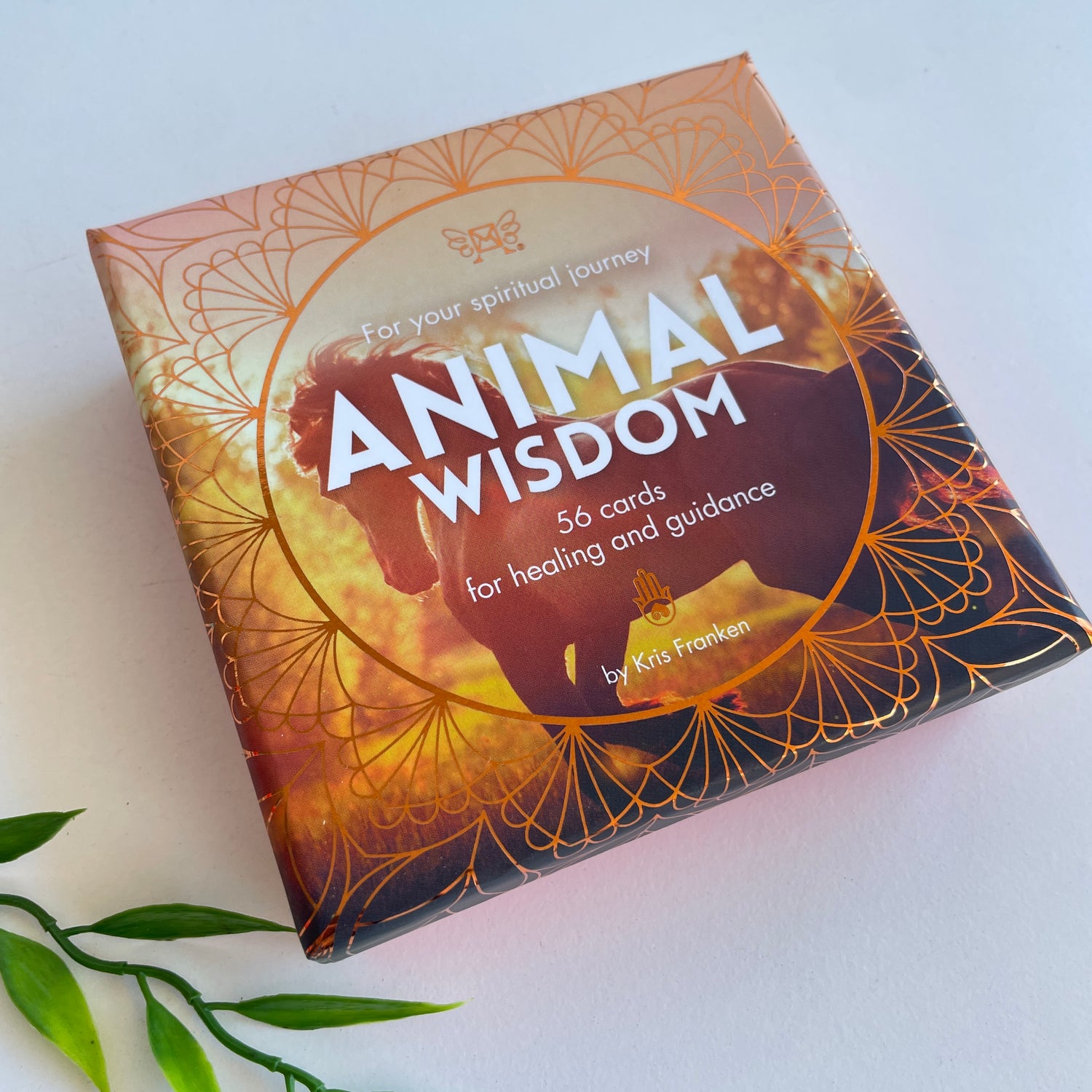 Animal Wisdom Affirmation cards