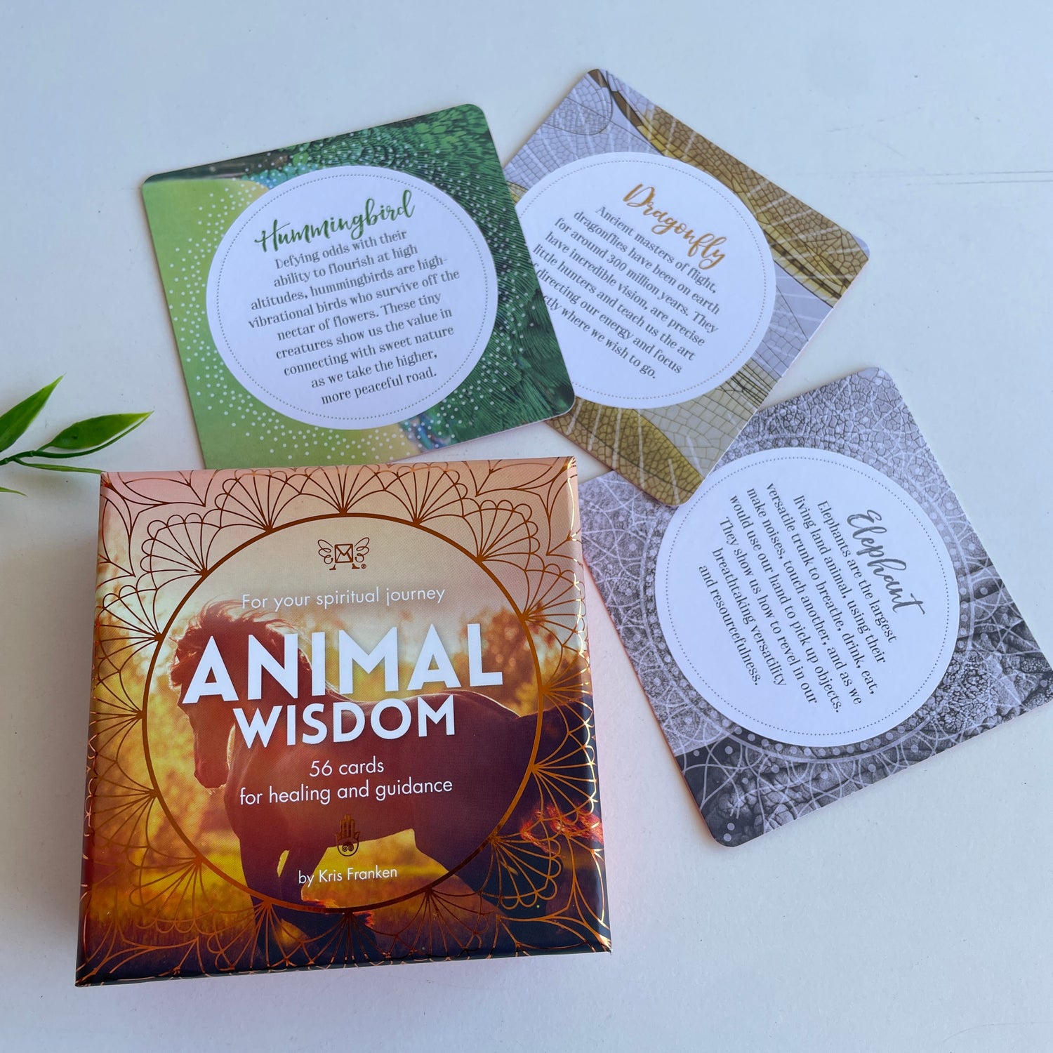 Animal Wisdom Affirmation cards