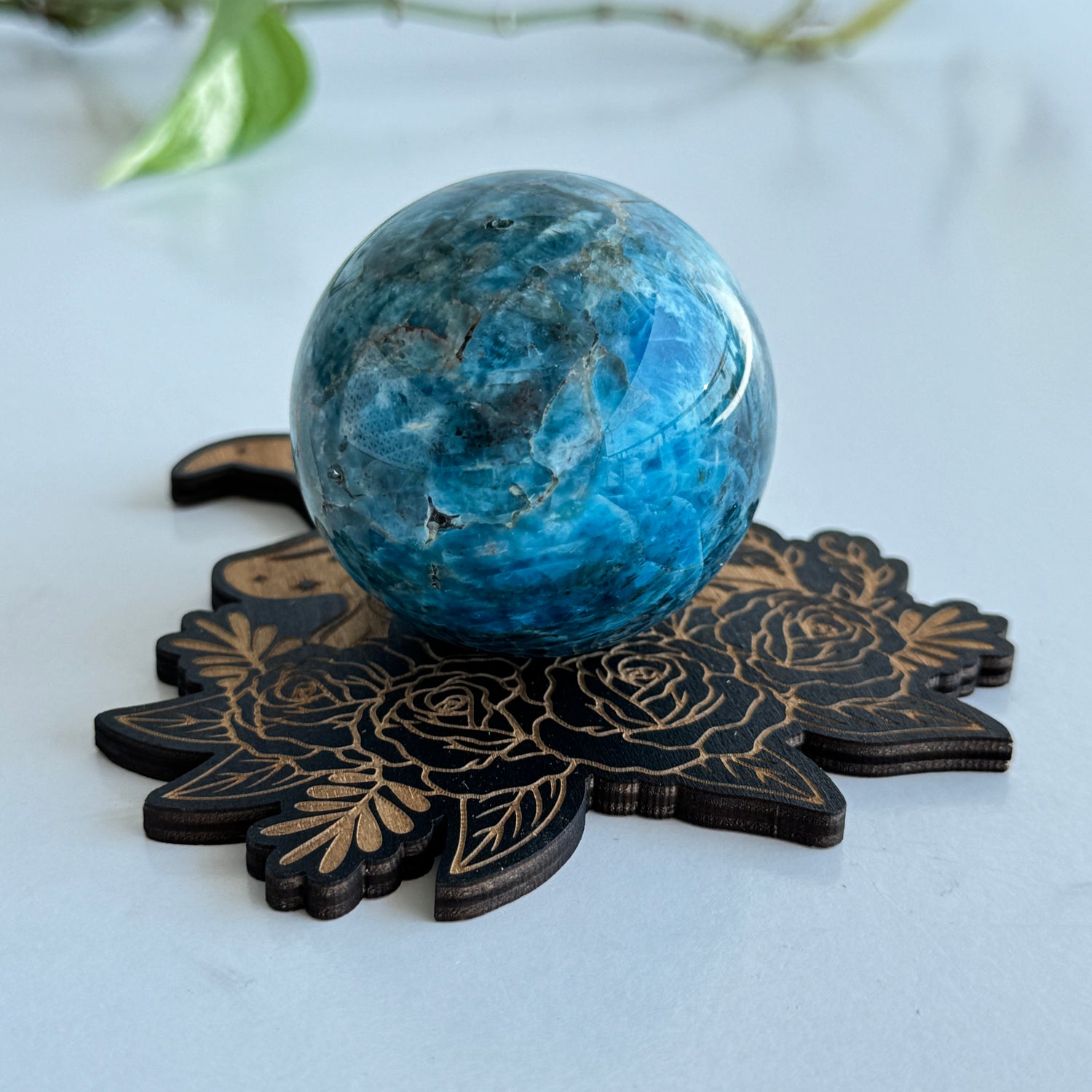 Witch with Roses Sphere Holder