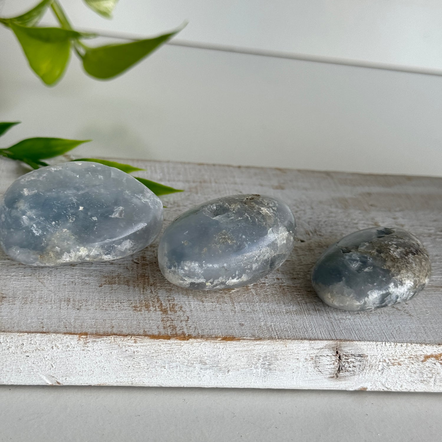 Celestite Tumbled Med
