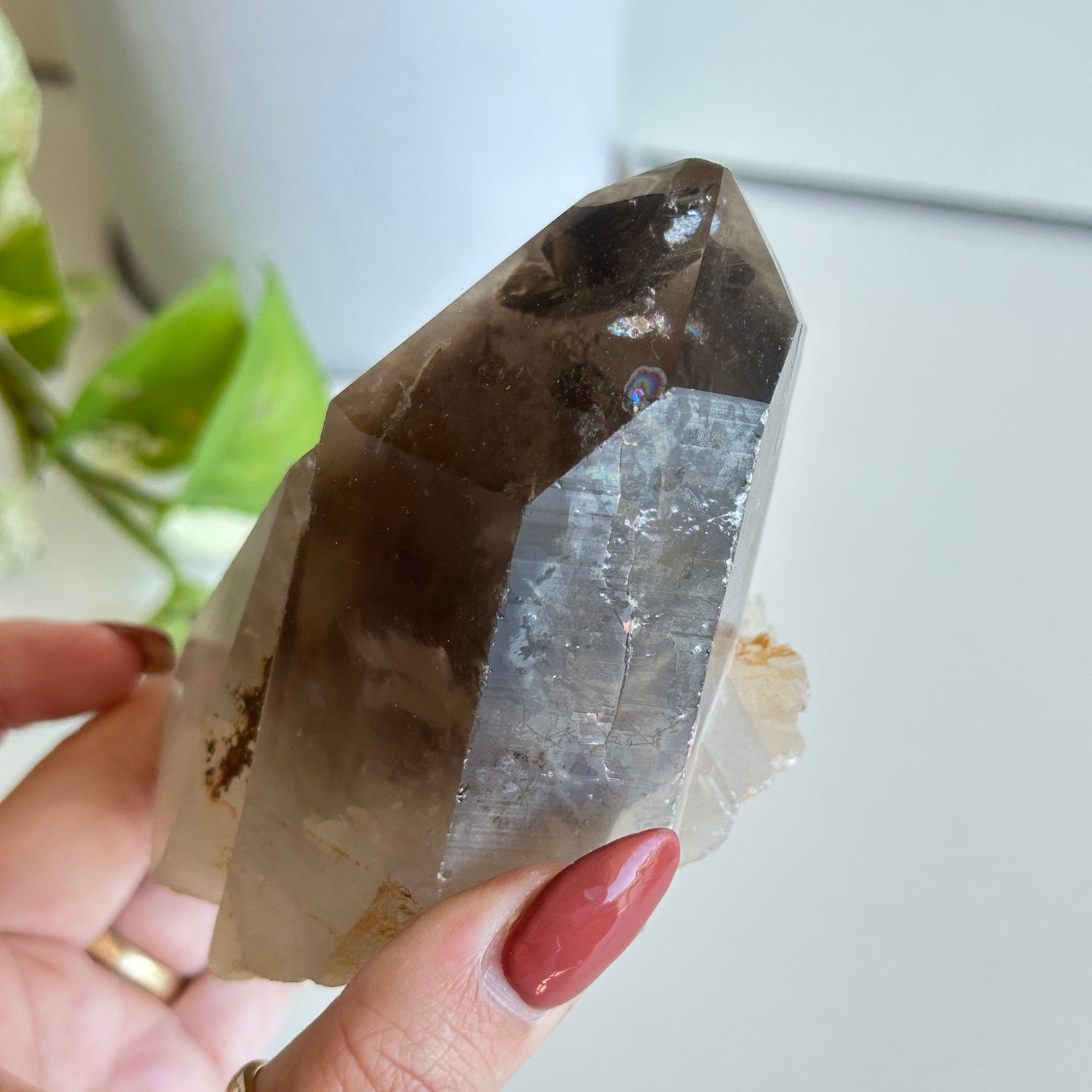 Smoky Citrine Pce 552g