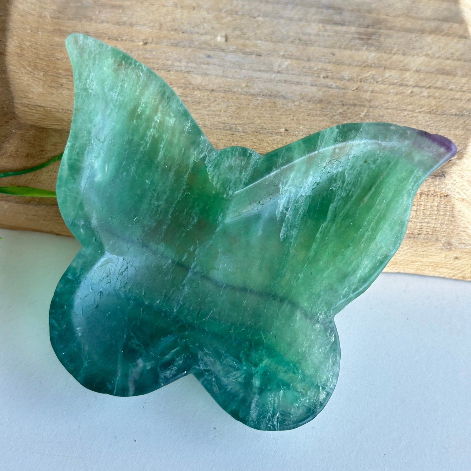 Fluorite Butterfly Bowl 11.4cm