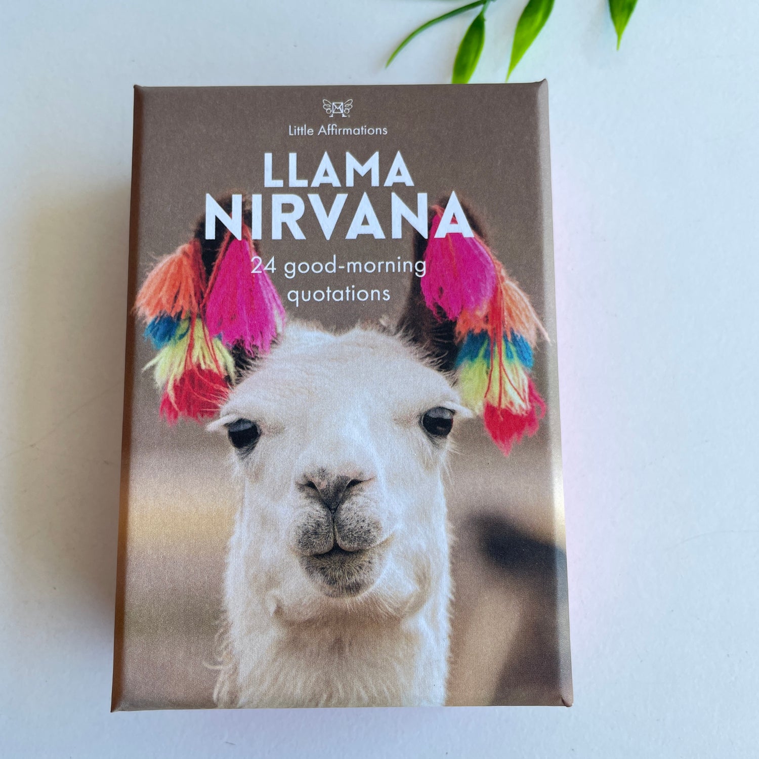 Llama Nirvana Little Affirmations DLN.