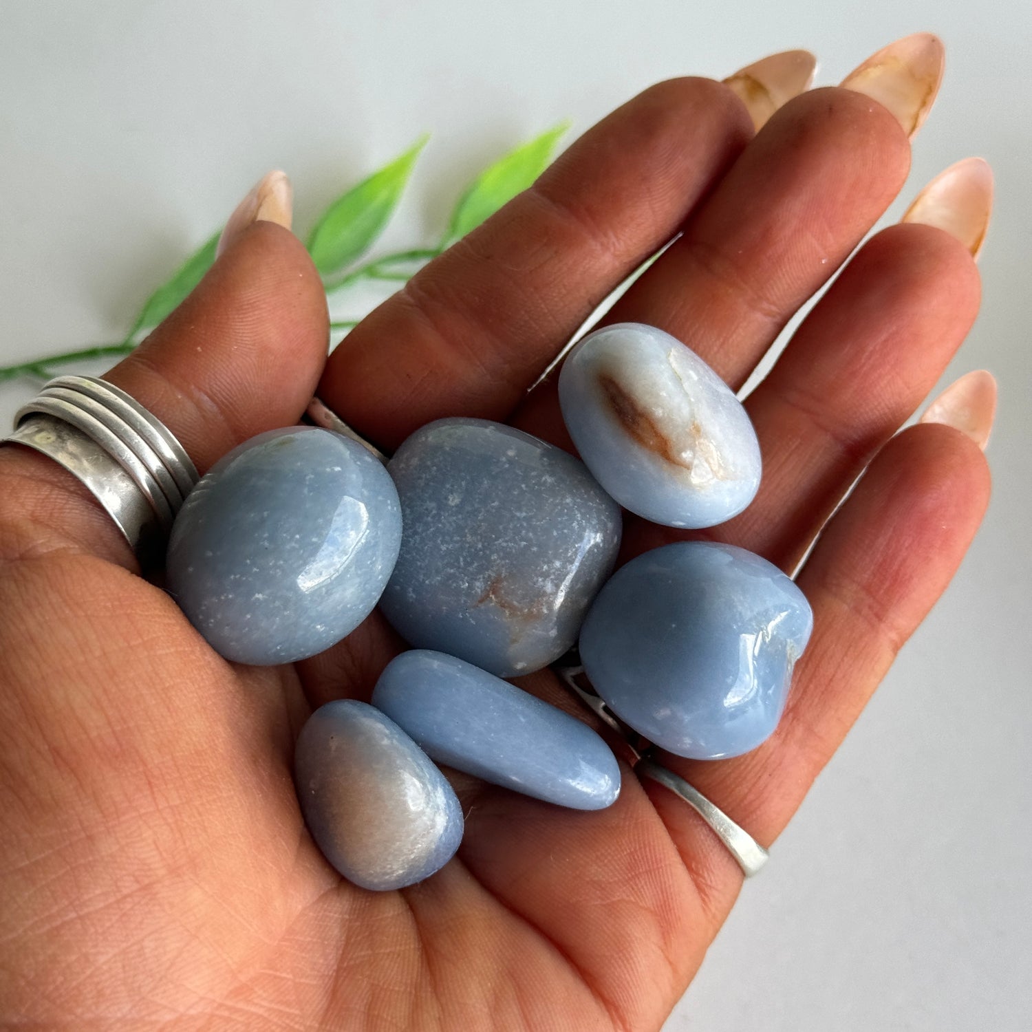 Angelite Tumbled