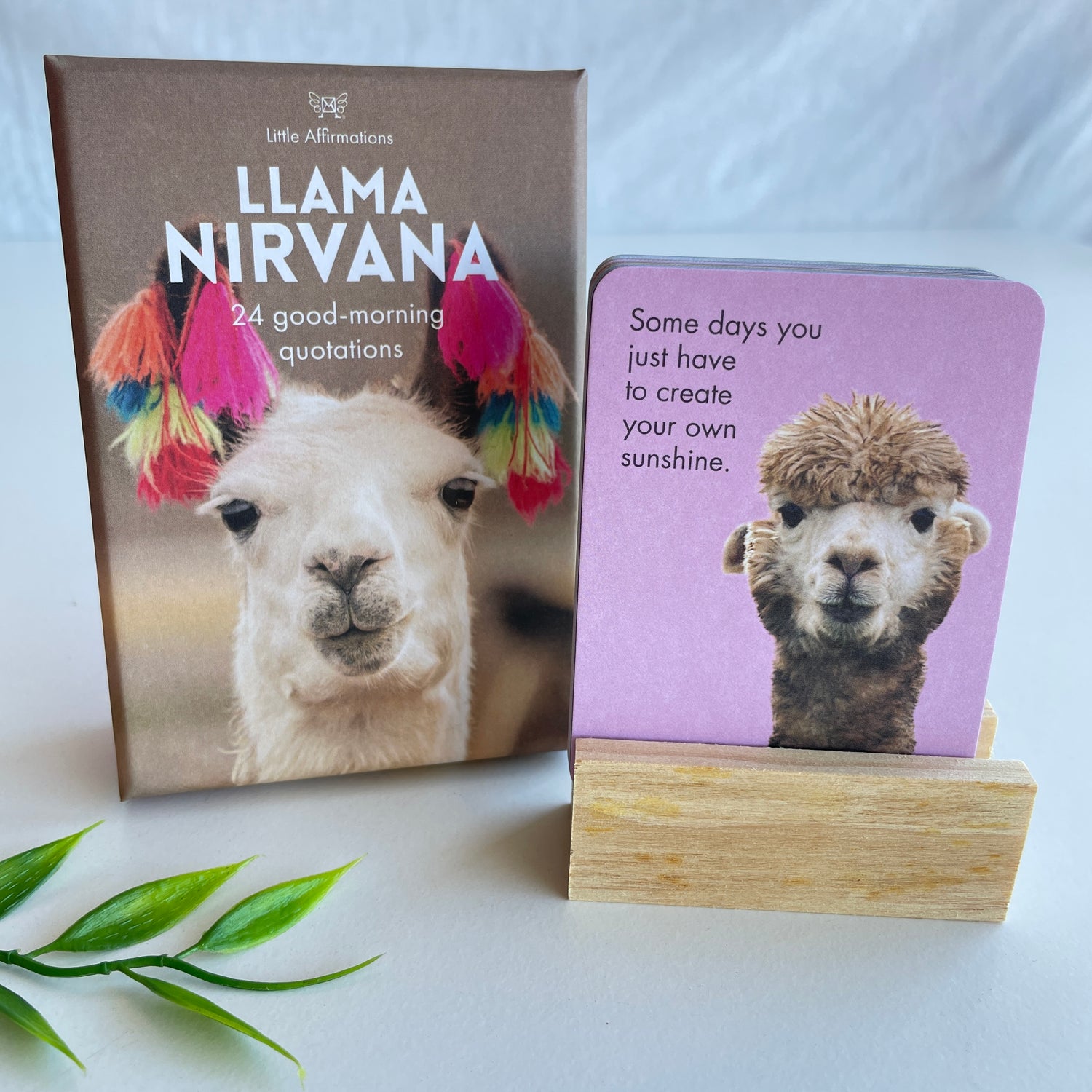 Llama Nirvana Little Affirmations DLN.