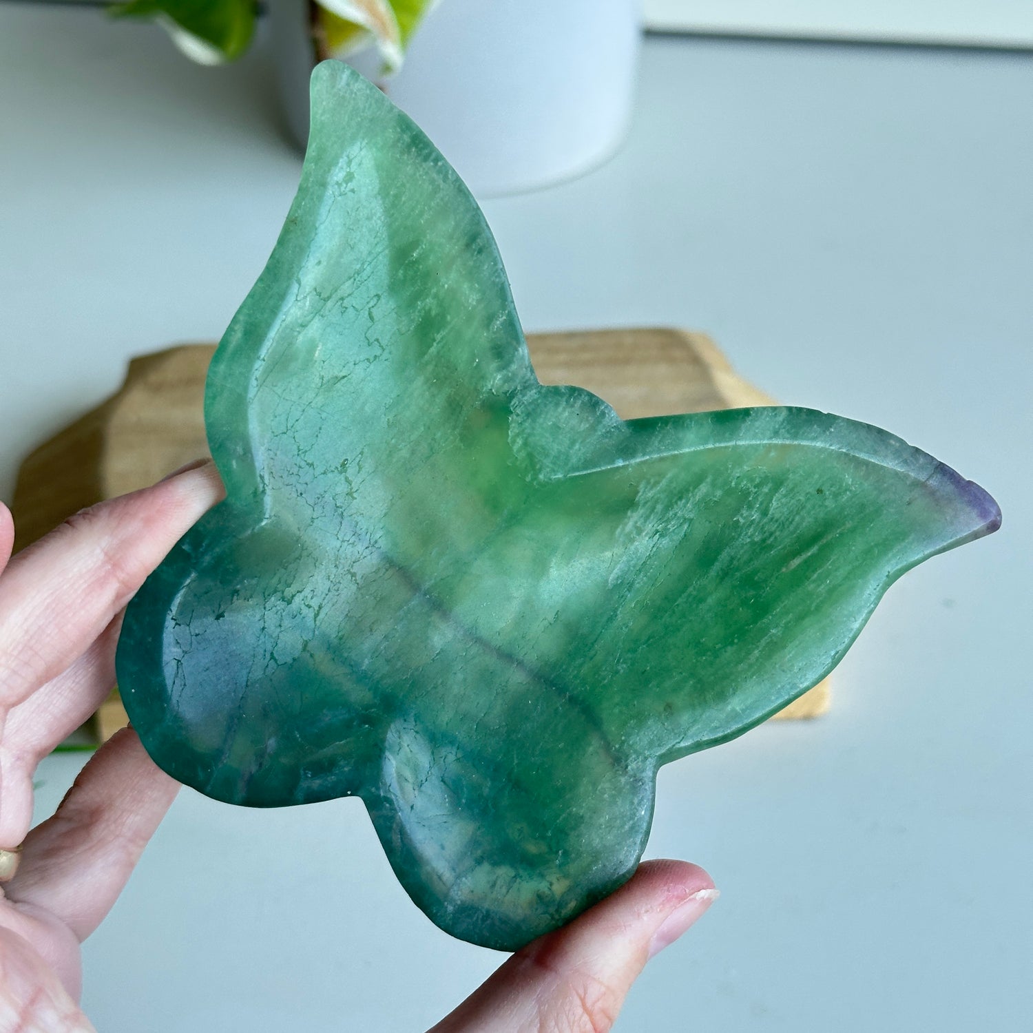 Fluorite Butterfly Bowl 11.4cm
