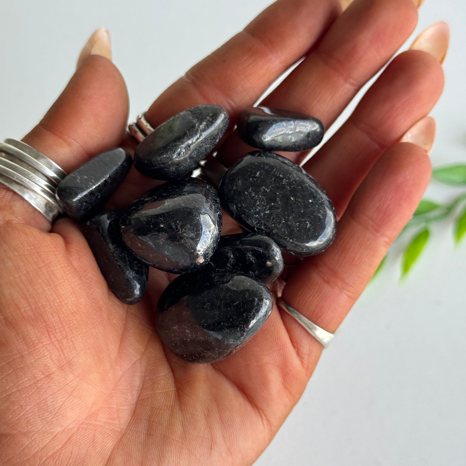 Nuummite Tumbled
