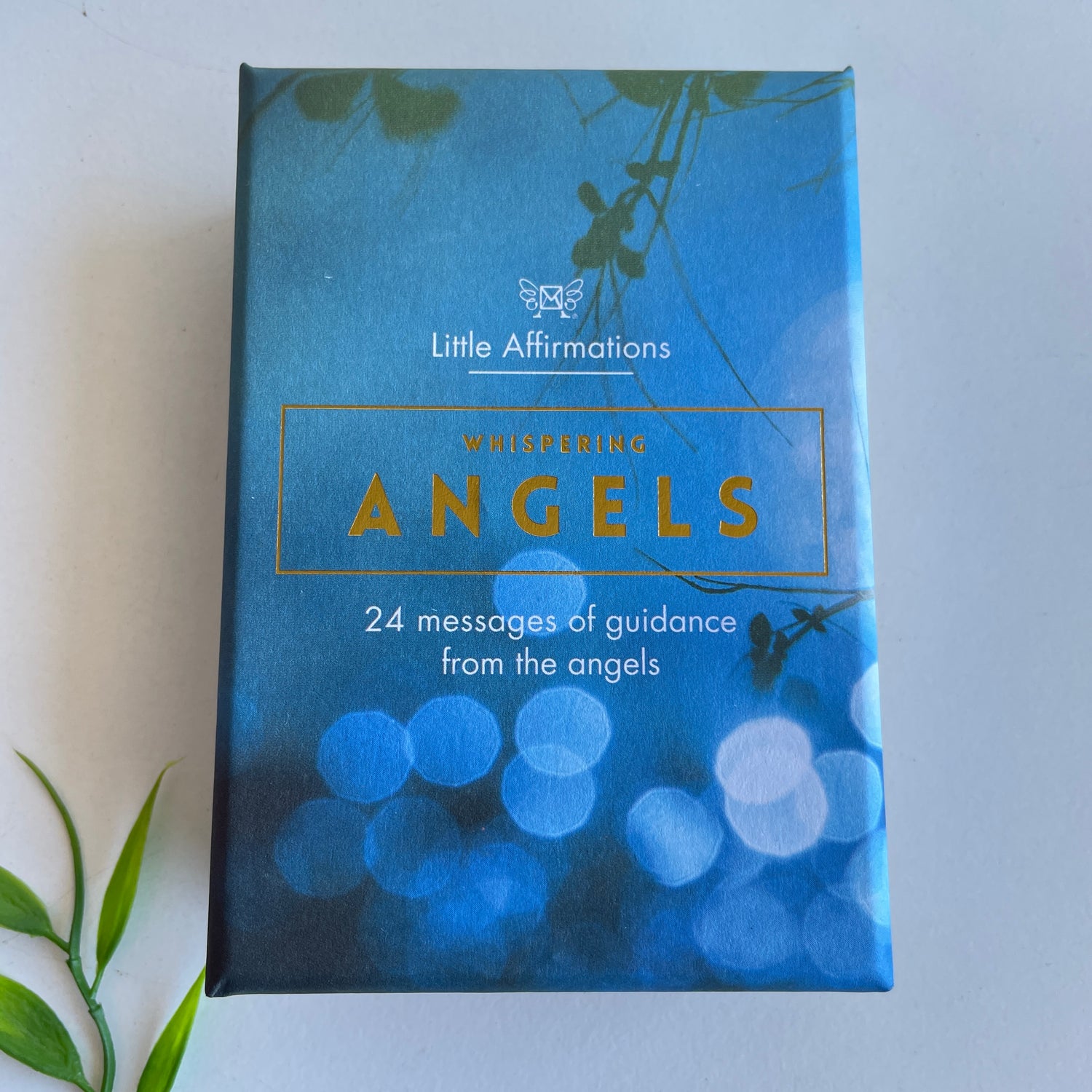 Whispering Angels Affirmation Cards DAN.